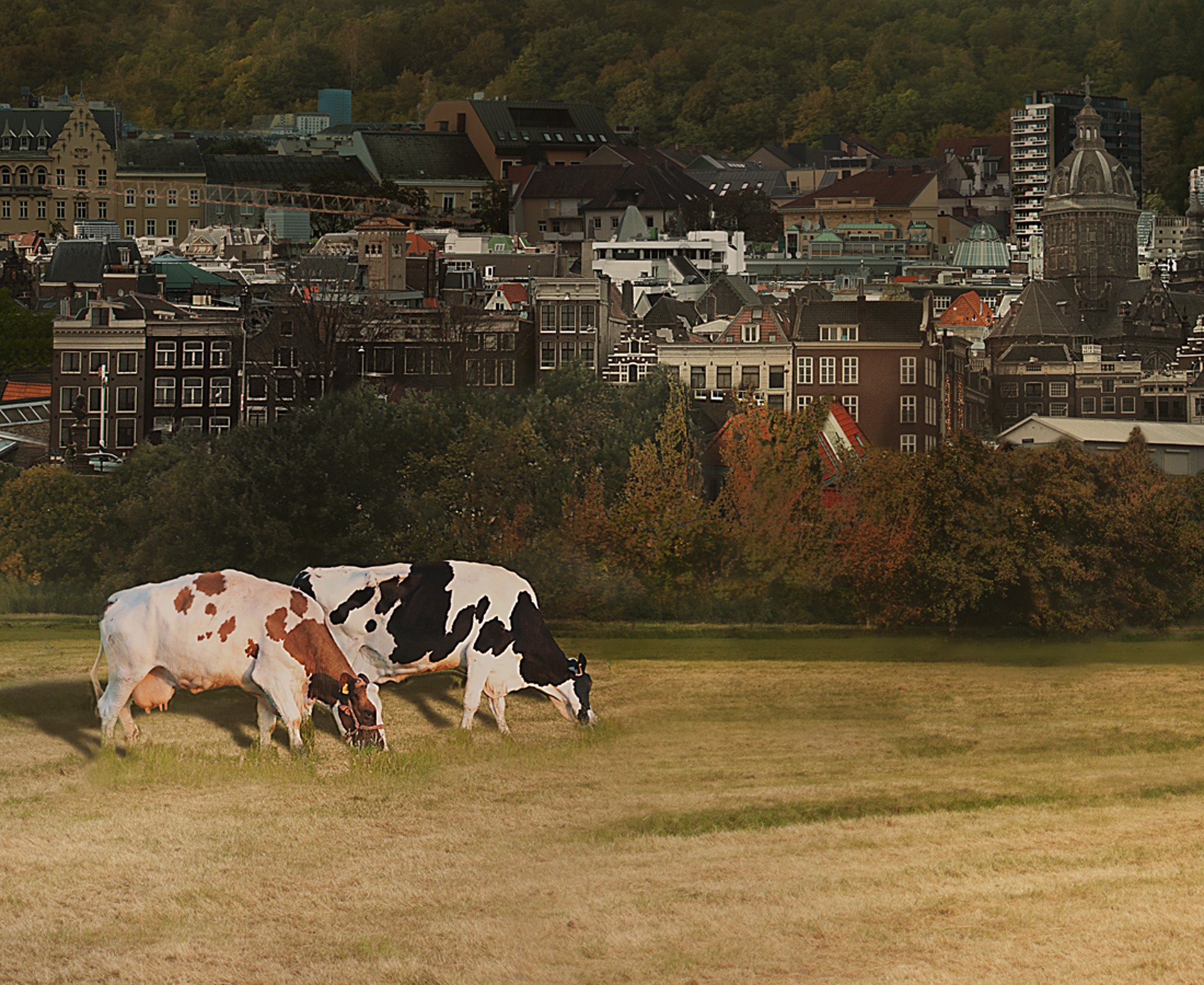 A surreal landscape blending urban sprawl and pastoral simplicity under a brooding sky.