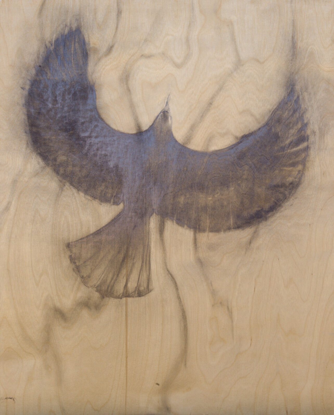 Blackbird by Joseph Gregory Rossano, 2026