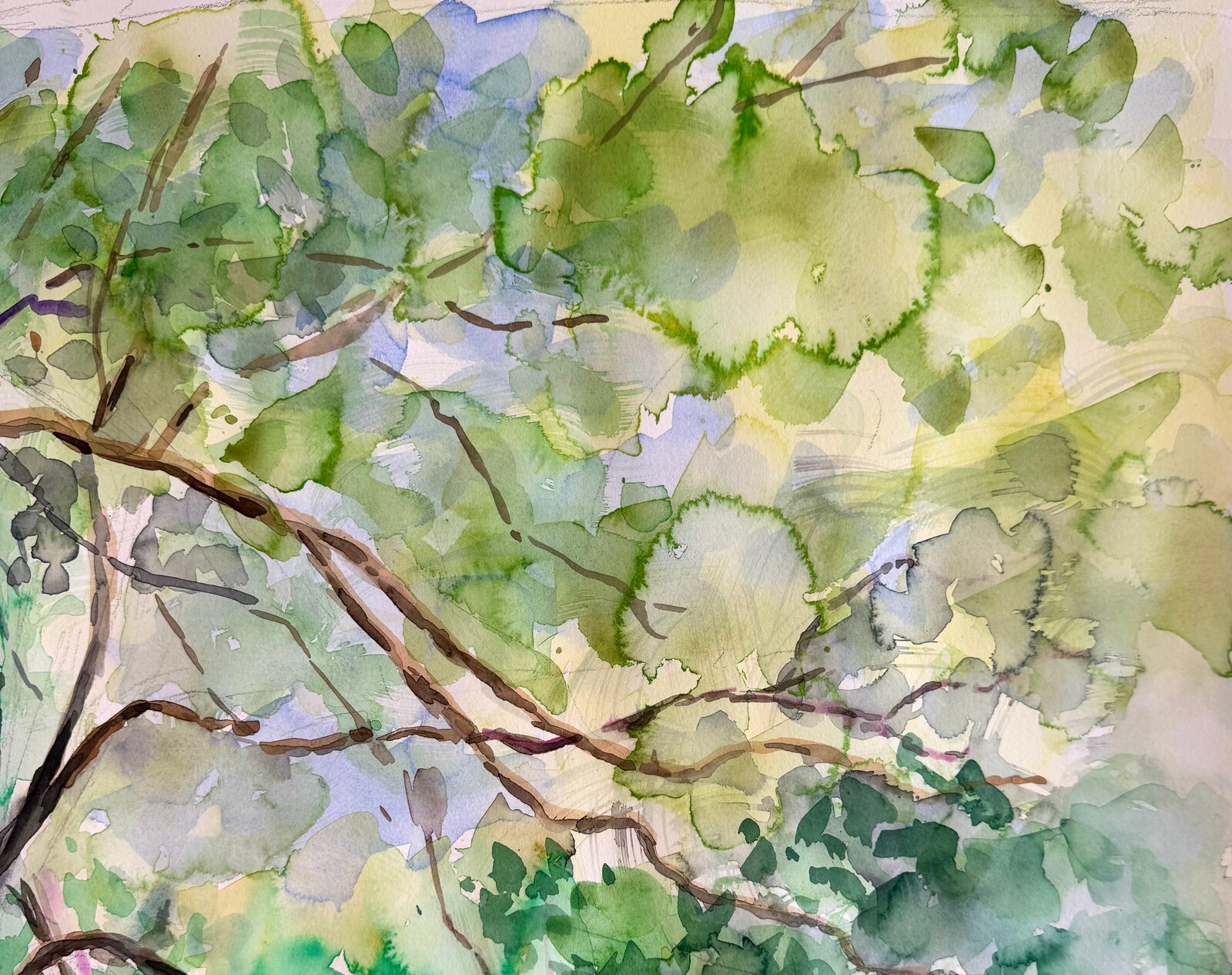 A watercolor painting of a person walking past a large spotted cat in a sun-dappled forest.