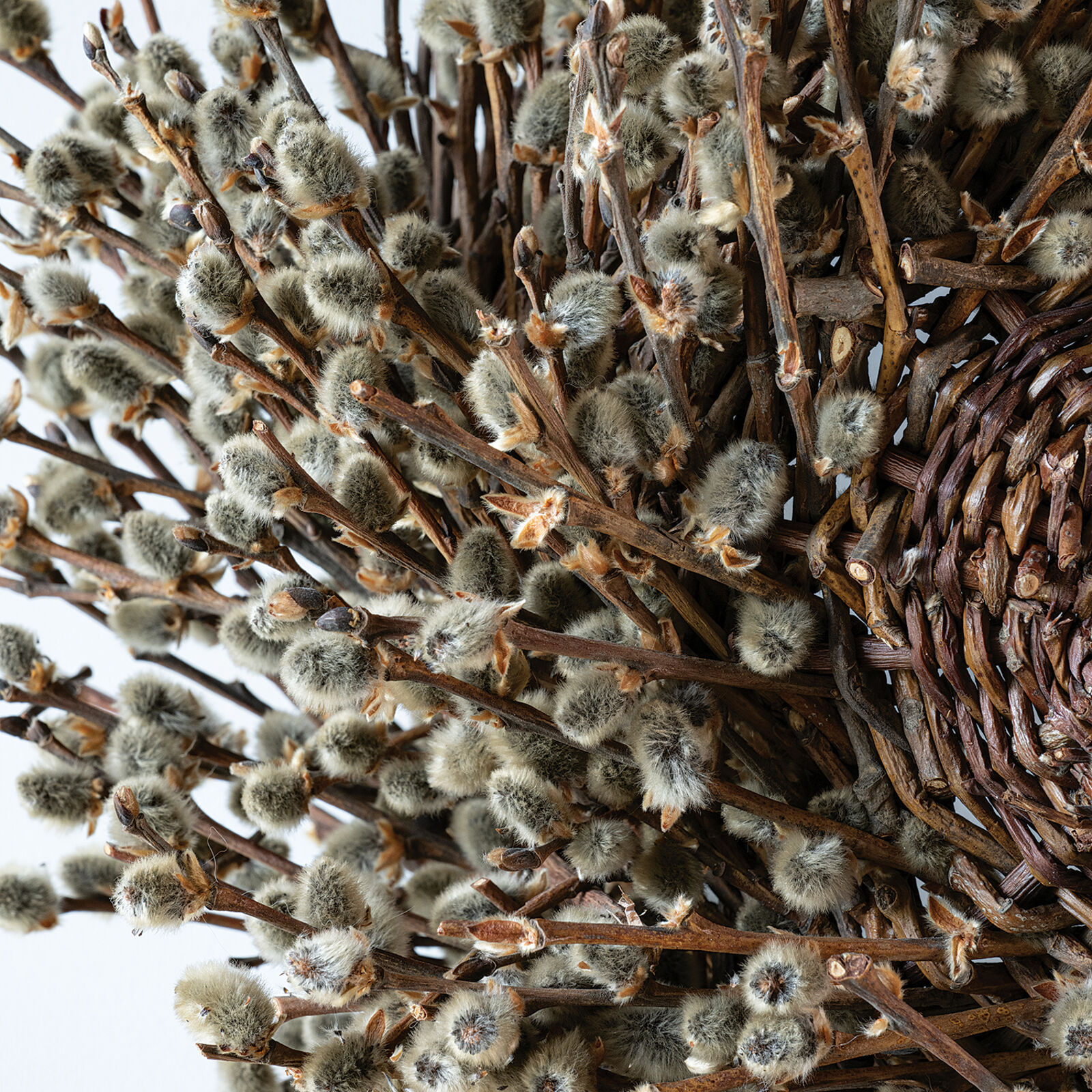 A basket filled with willow branches on top of a table.