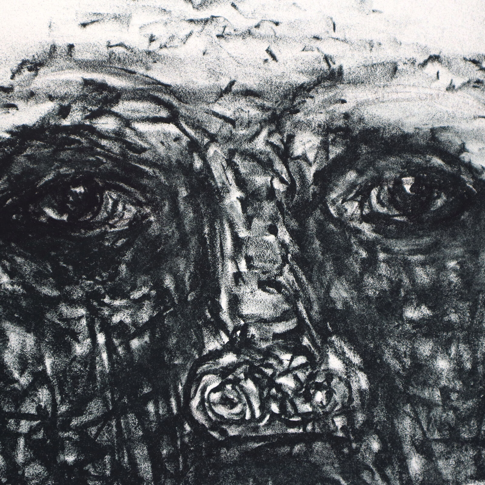 Artwork by Marlene Dumas, Fear of Babies, Made of Lithograph on paper 