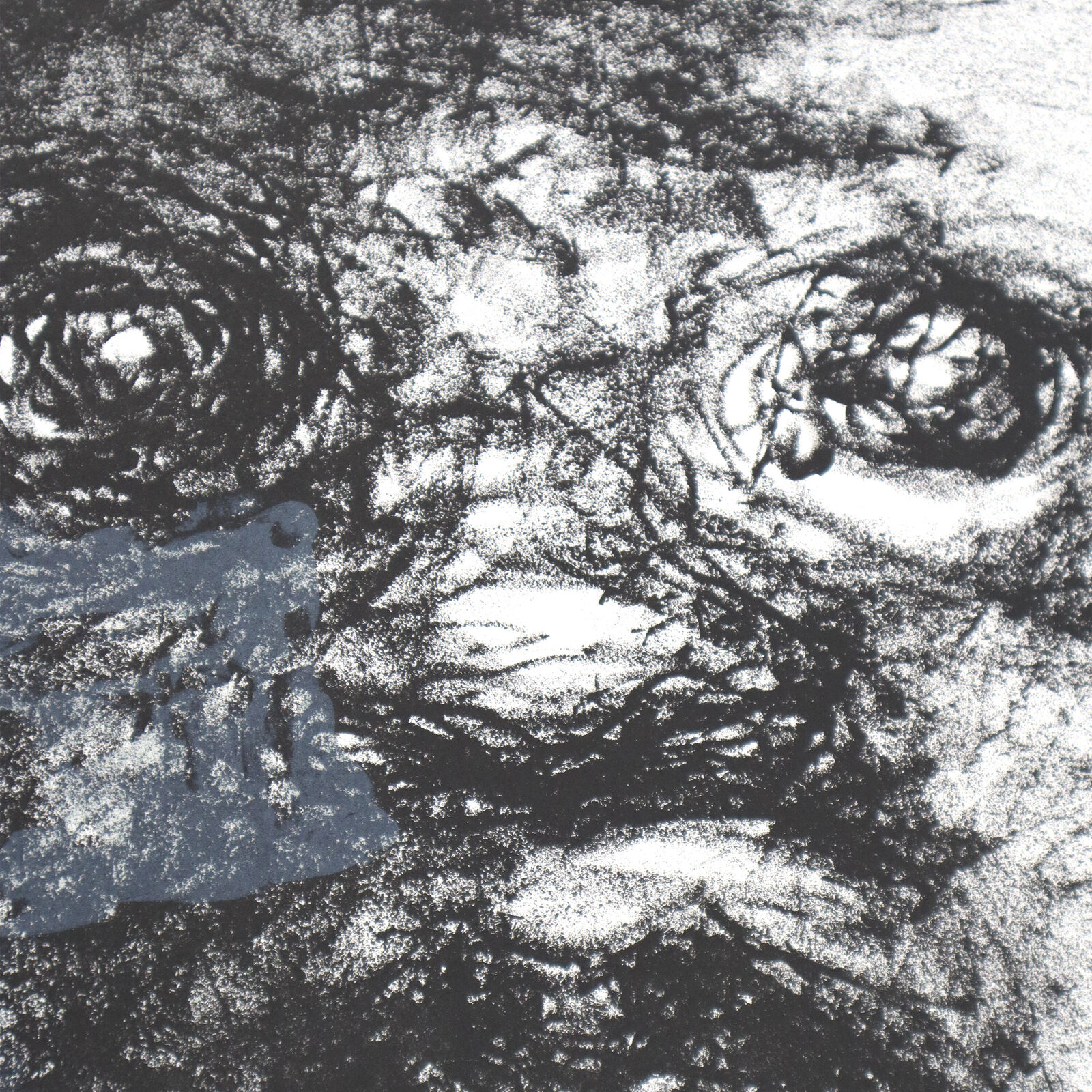 Artwork by Marlene Dumas, Fear of Babies, Made of Lithograph on paper 