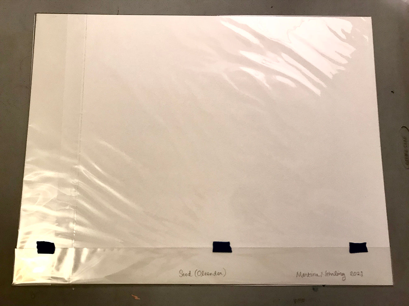 Artwork by Martina Nehrling, Seed, Made of Acrylic on Montval paper 