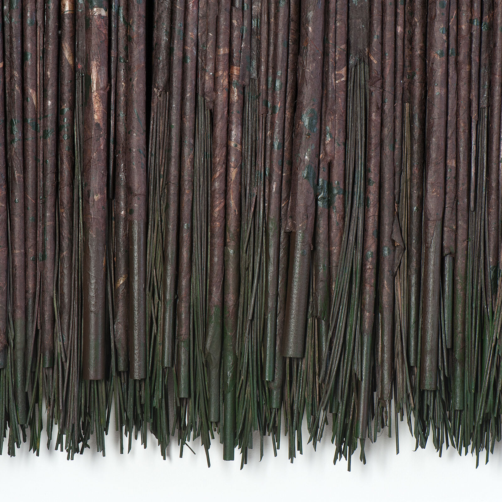 Dark Woods