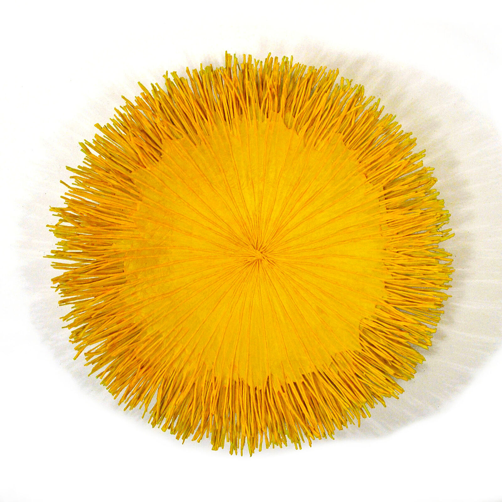 A vibrant, spiky yellow circular object against a stark white background.