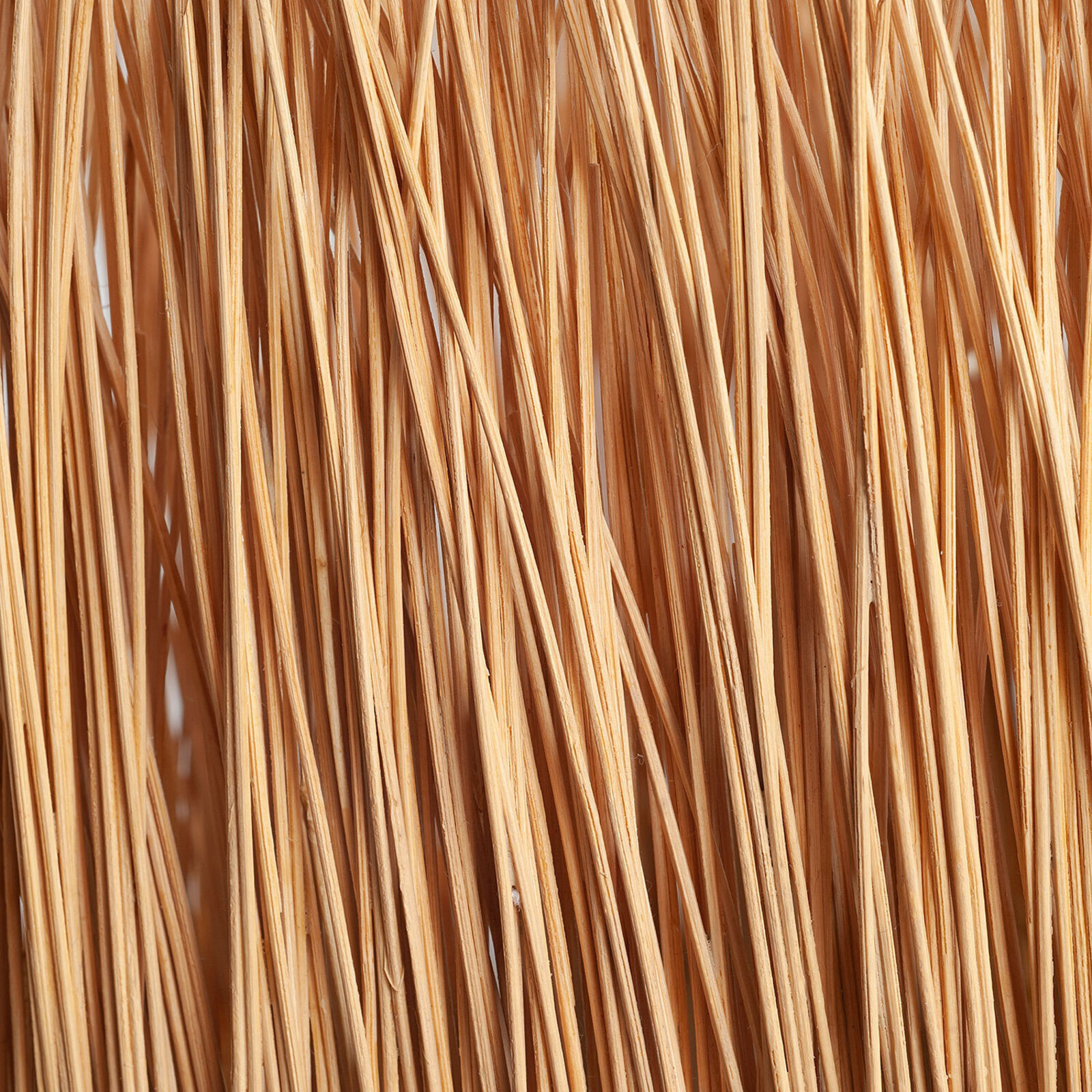 Tall Reed (2)