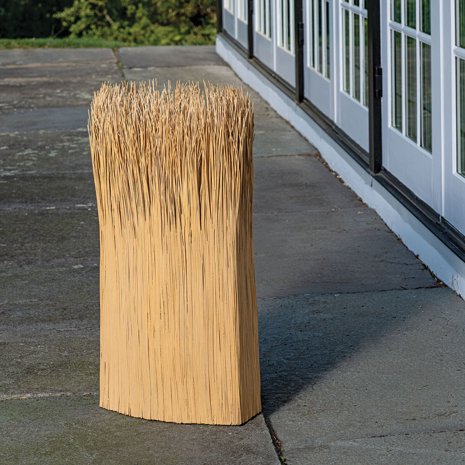 Tall Reed (2)