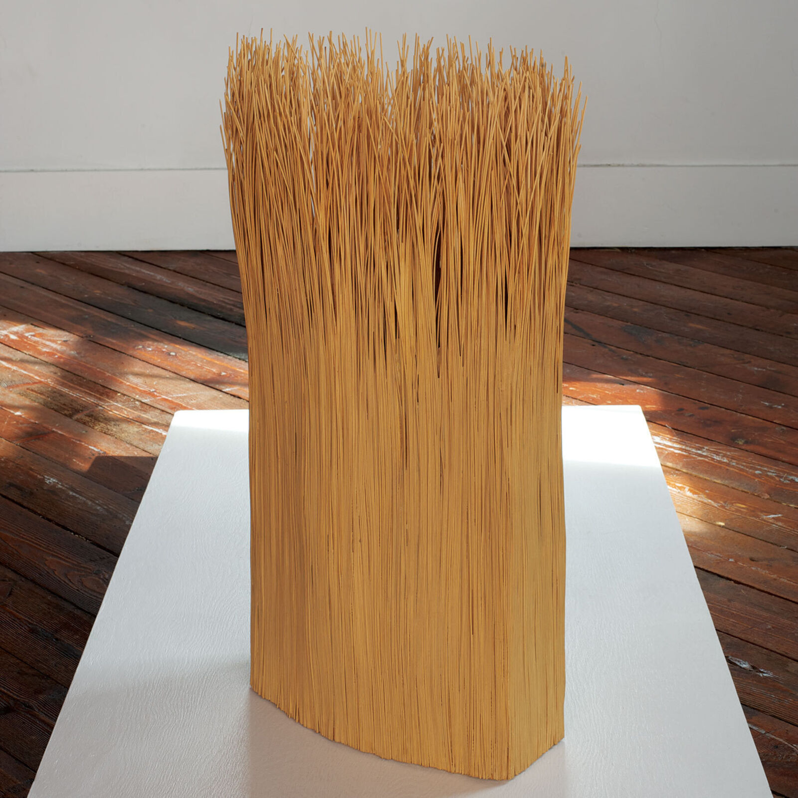 Tall Reed (2)