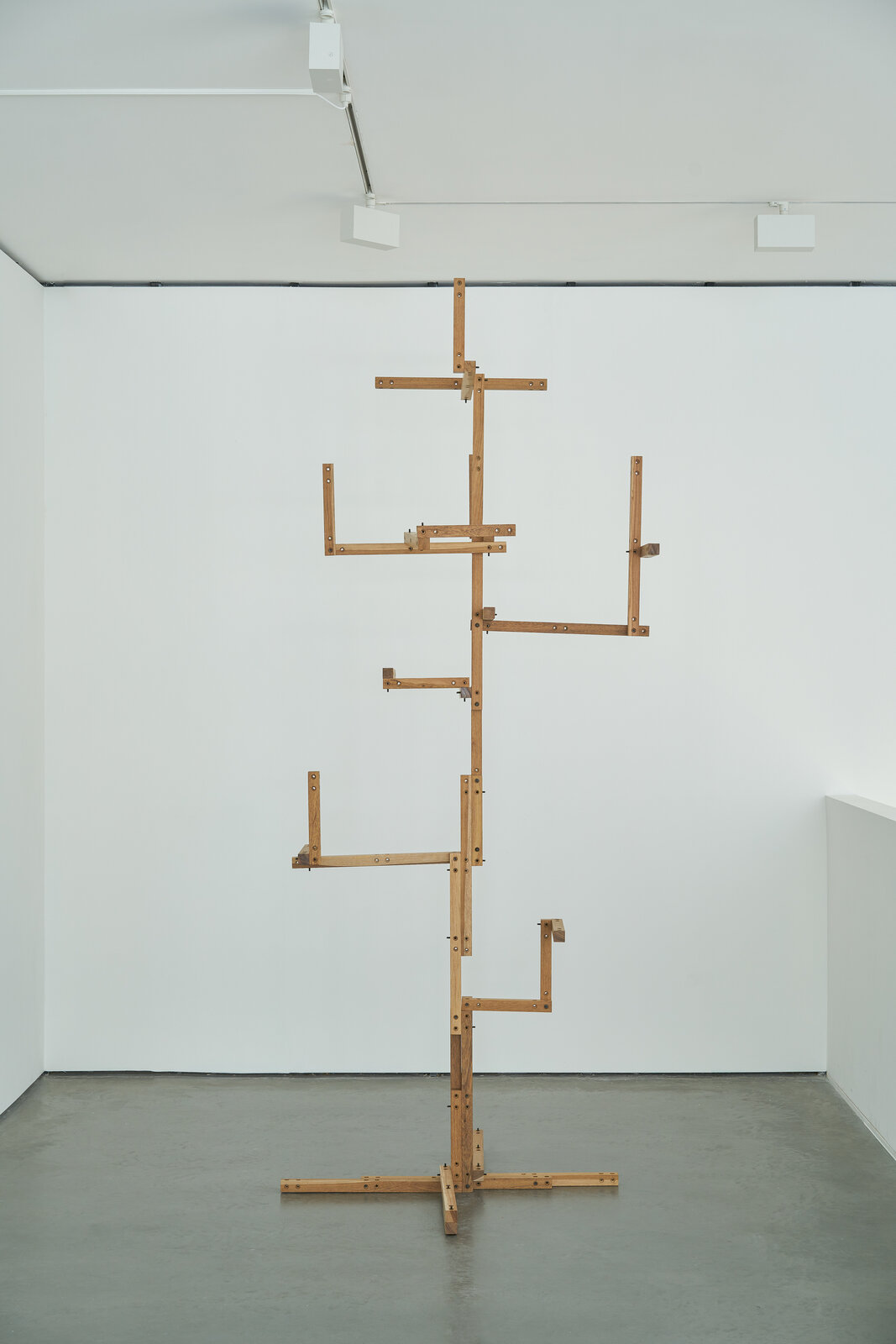 Arbol Portátil by Mateo López, 2020