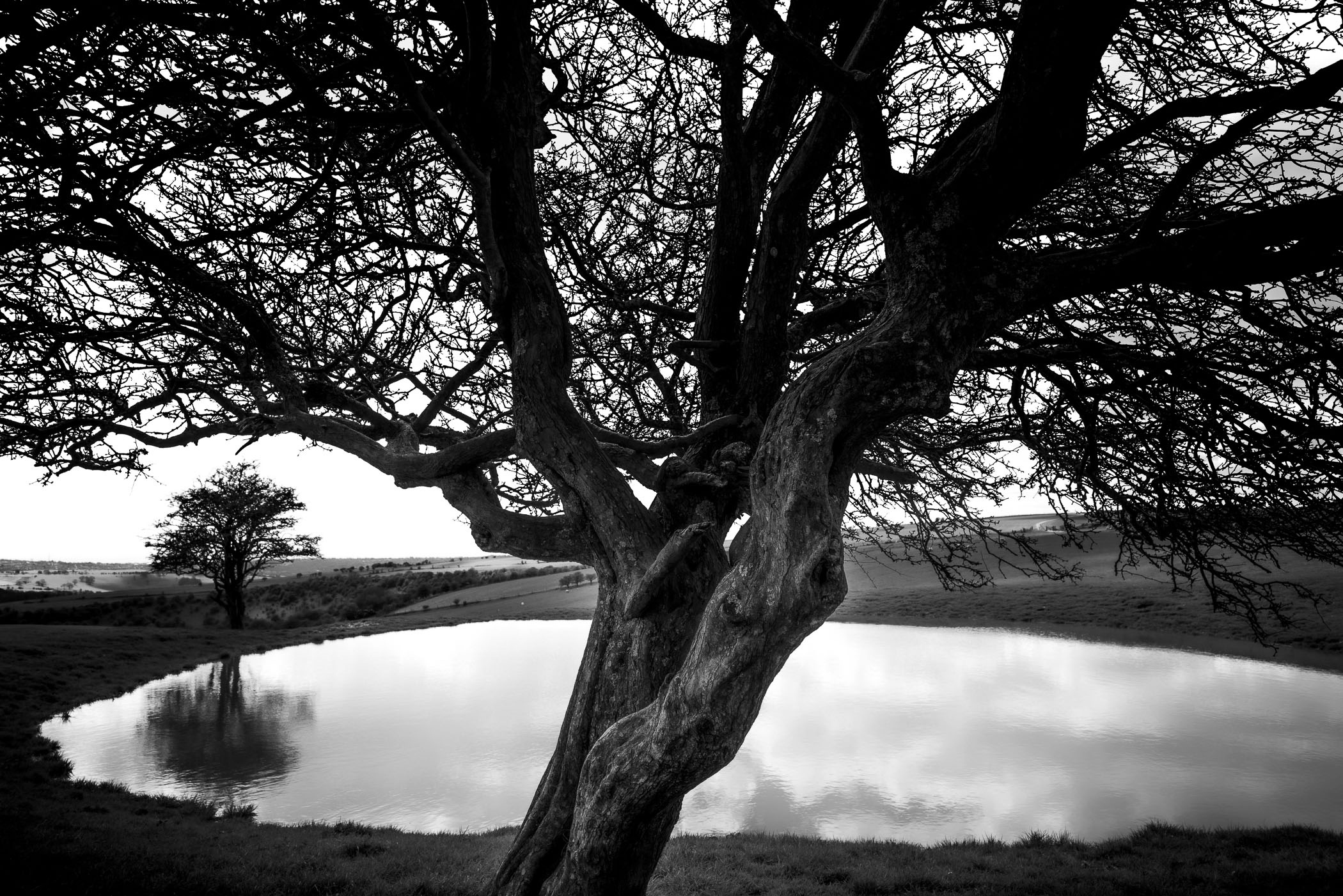 Dew Pond Study by Mathieu Chaze, 2023