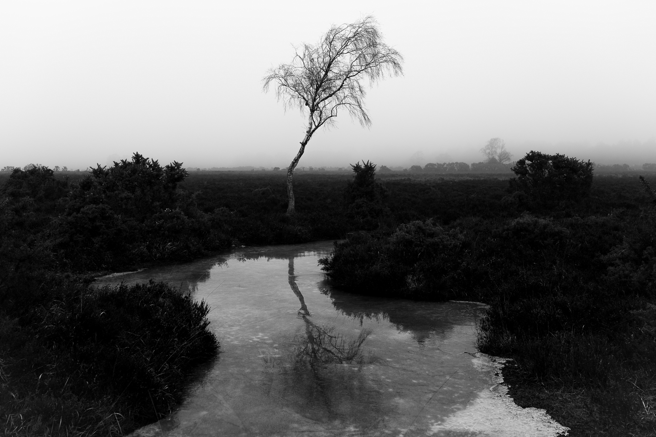 Frozen Reflection by Mathieu Chaze, 2023