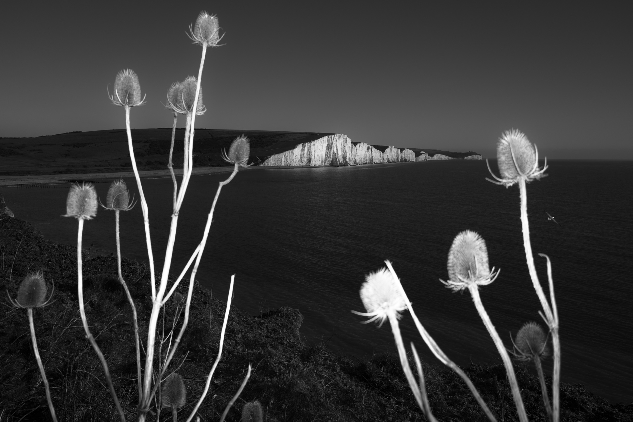 Seven Sisters Cliffs seen from Seven sisters Country Park by Mathieu Chaze, 2023