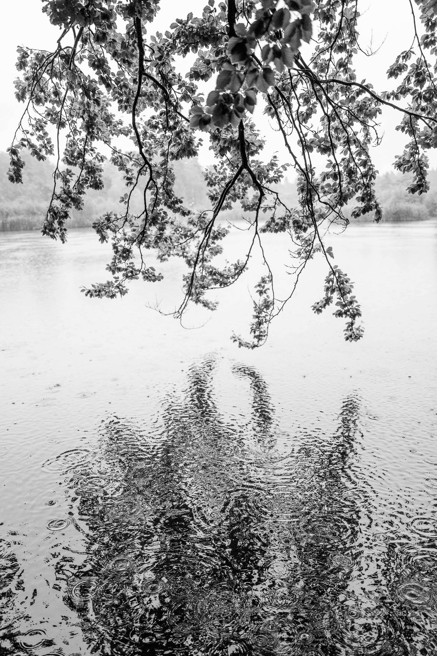 Water by Mathieu Chaze, 2021