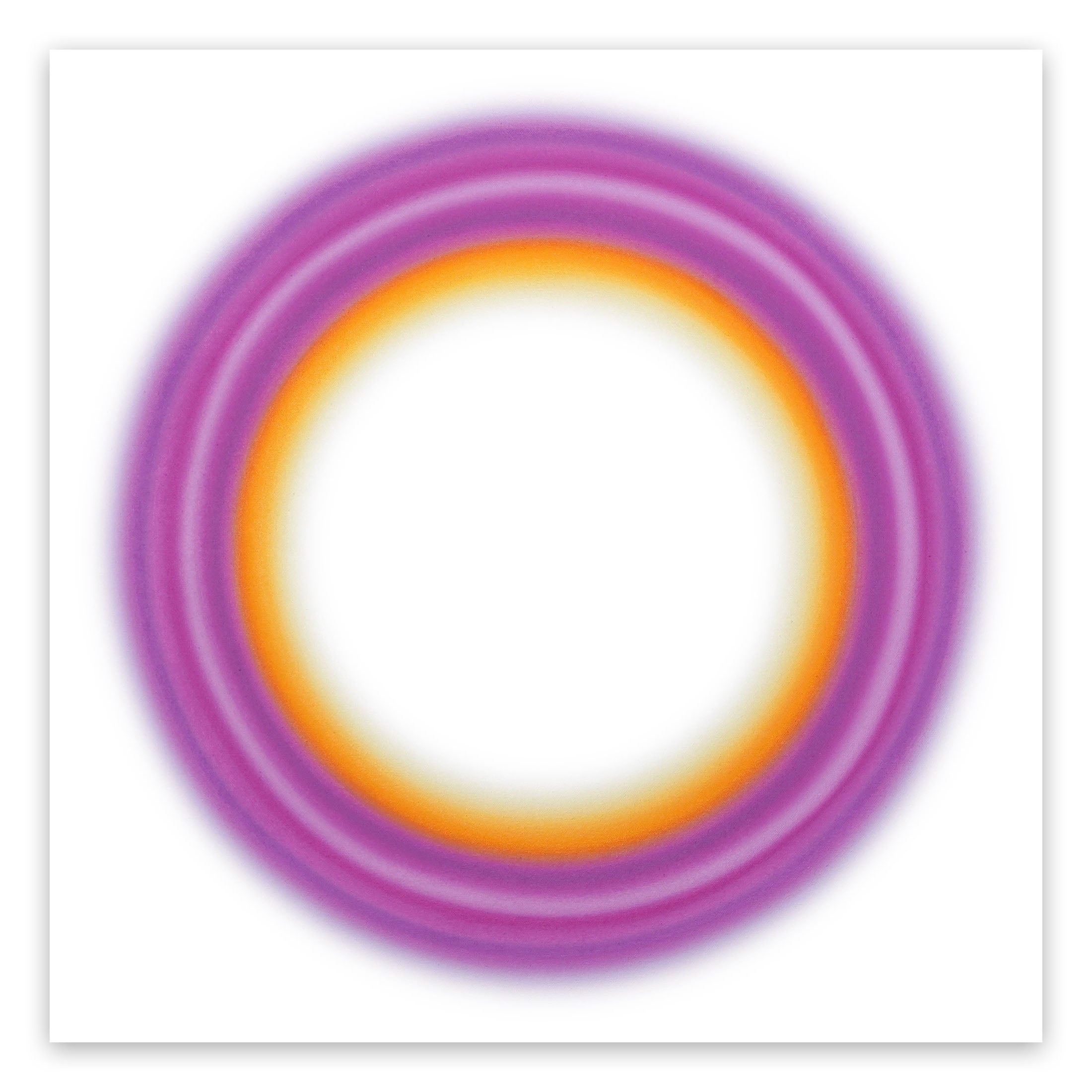 A purple and orange circle on a white background.