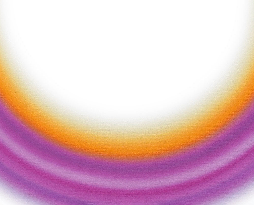 A purple and orange circle on a white background.