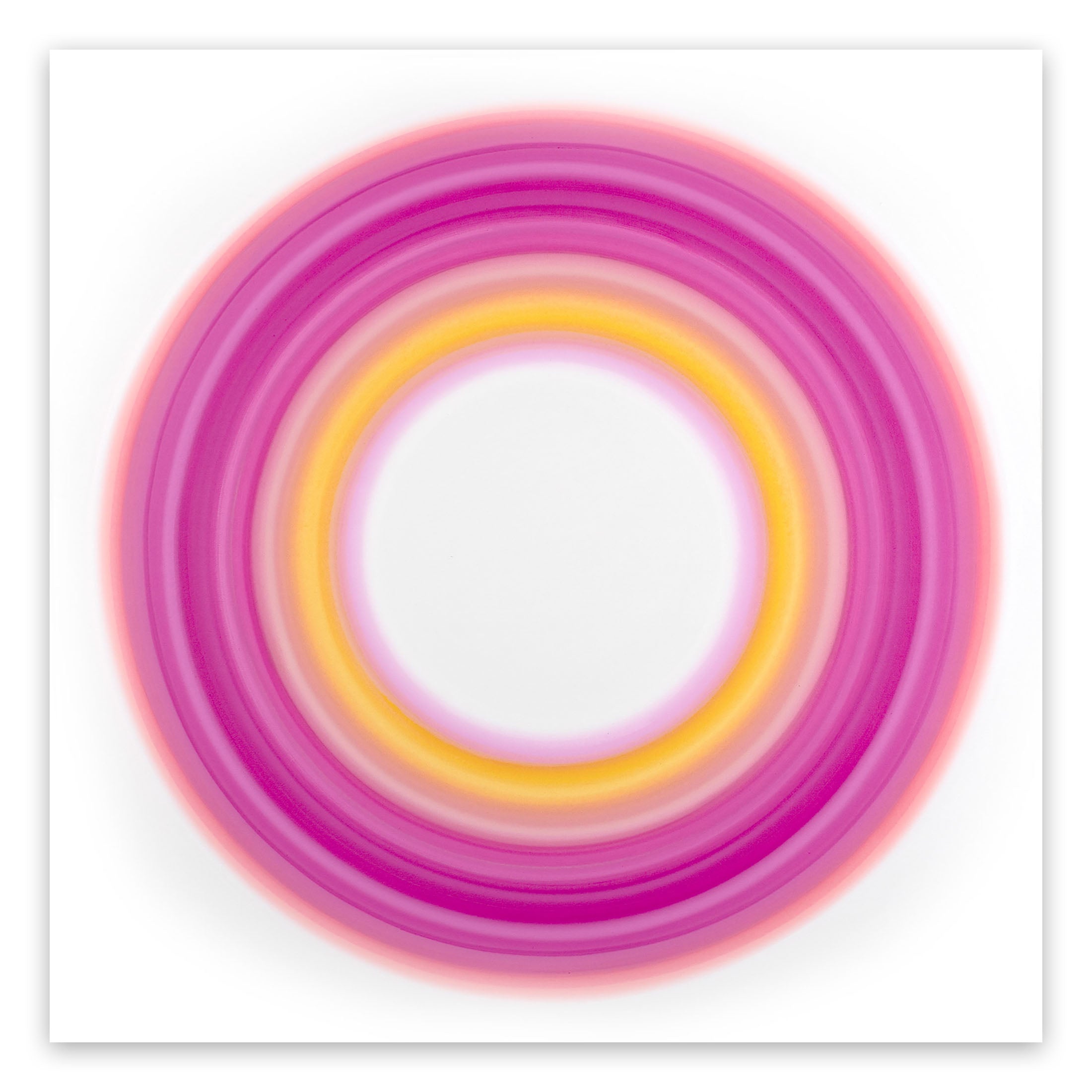 A pink and yellow circle on a white background.