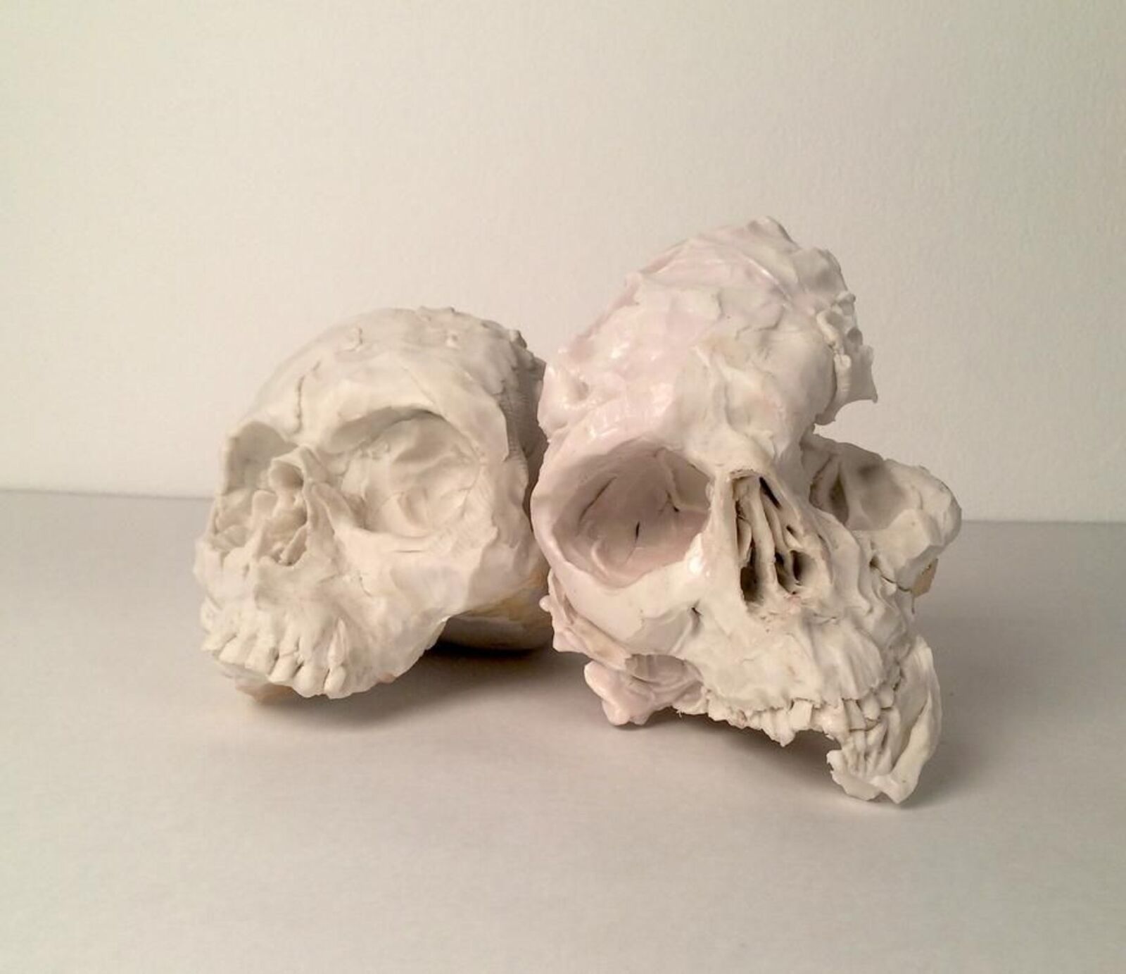 Pair (skulls) by Meghan Smythe, 2015