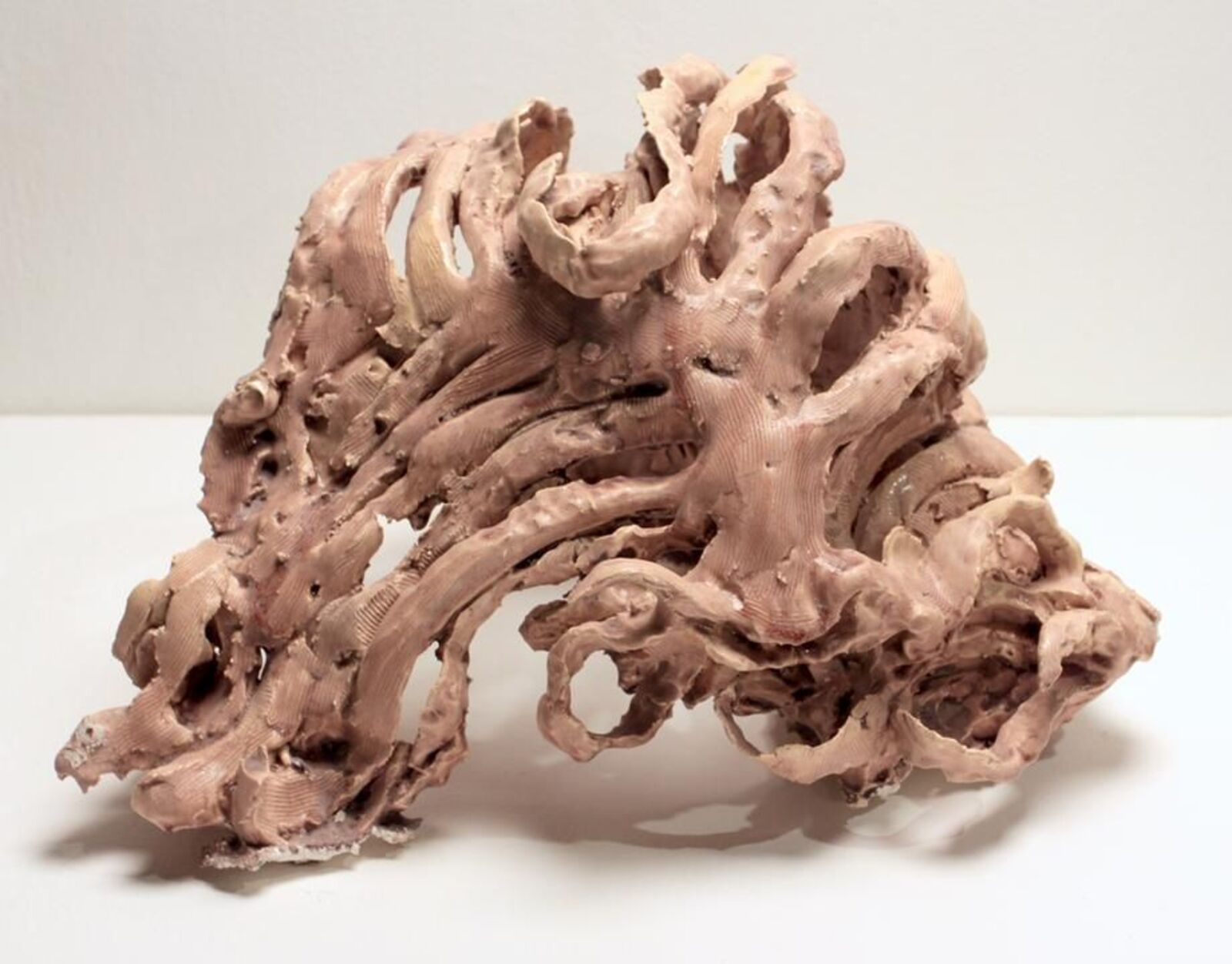 Ribcage by Meghan Smythe, 2014