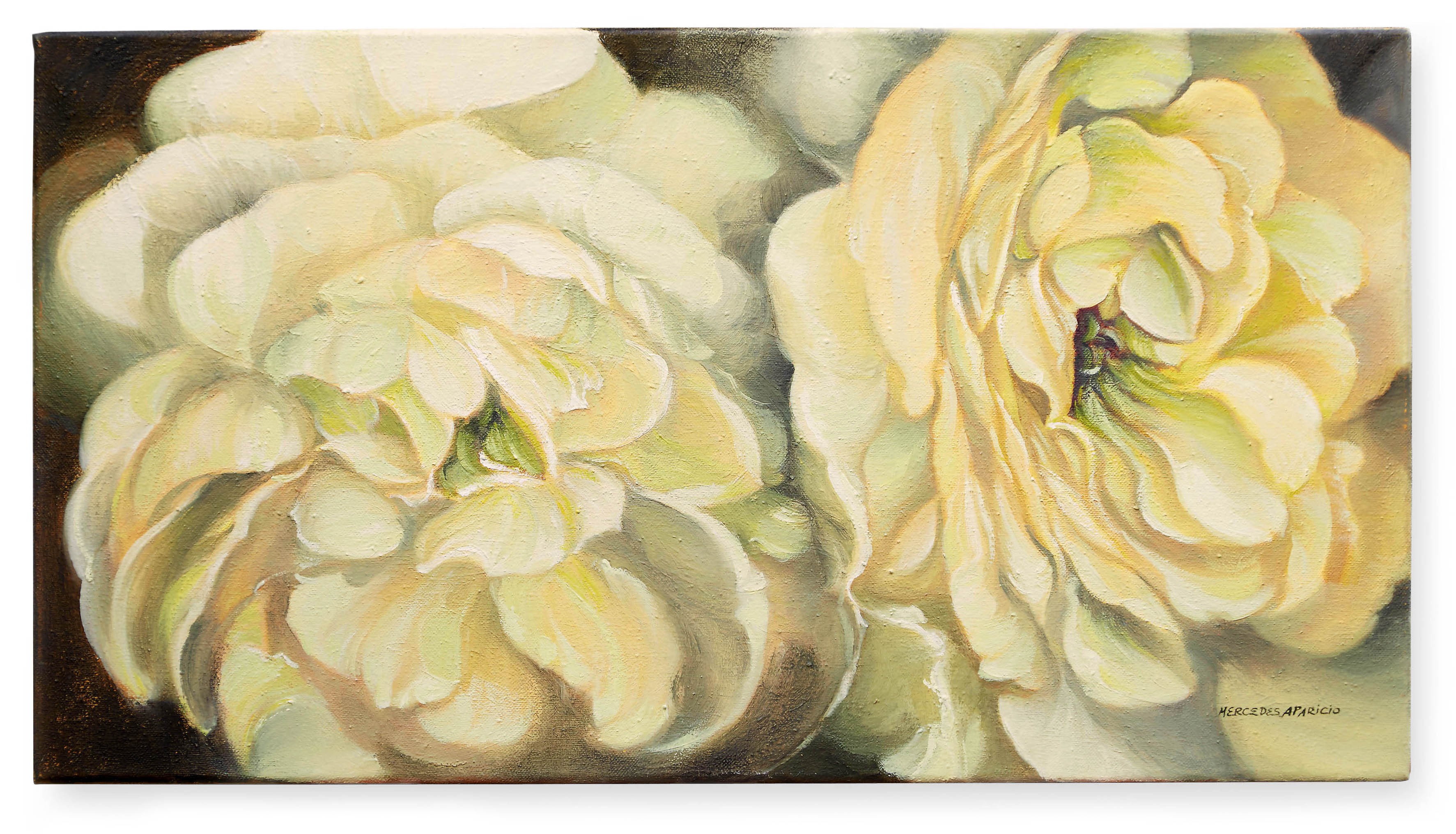 A close-up painting of two pale yellow flowers with soft, layered petals against a dark background.