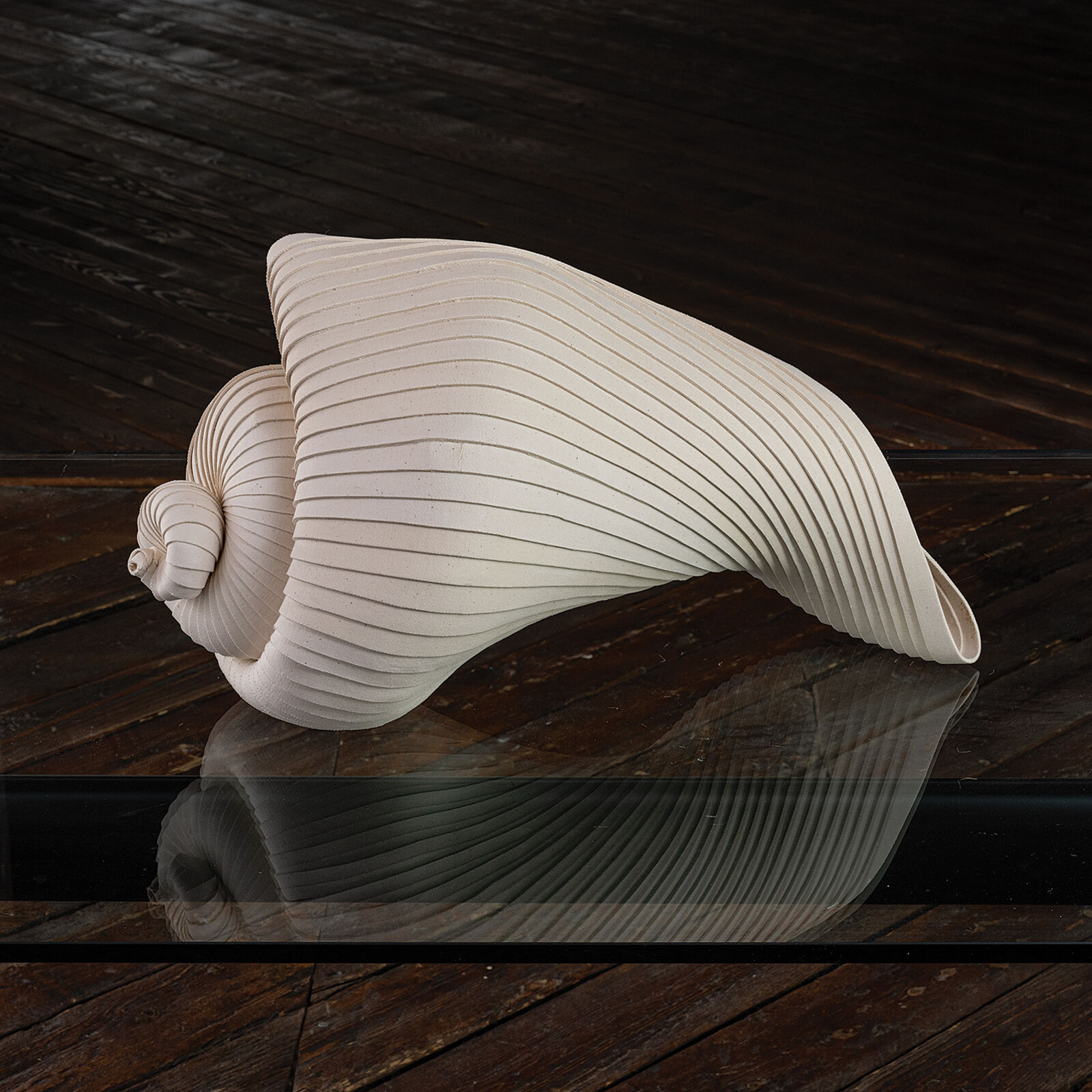 A sculptural piece resembling a folded shell or abstract flower resting on a reflective dark surface.