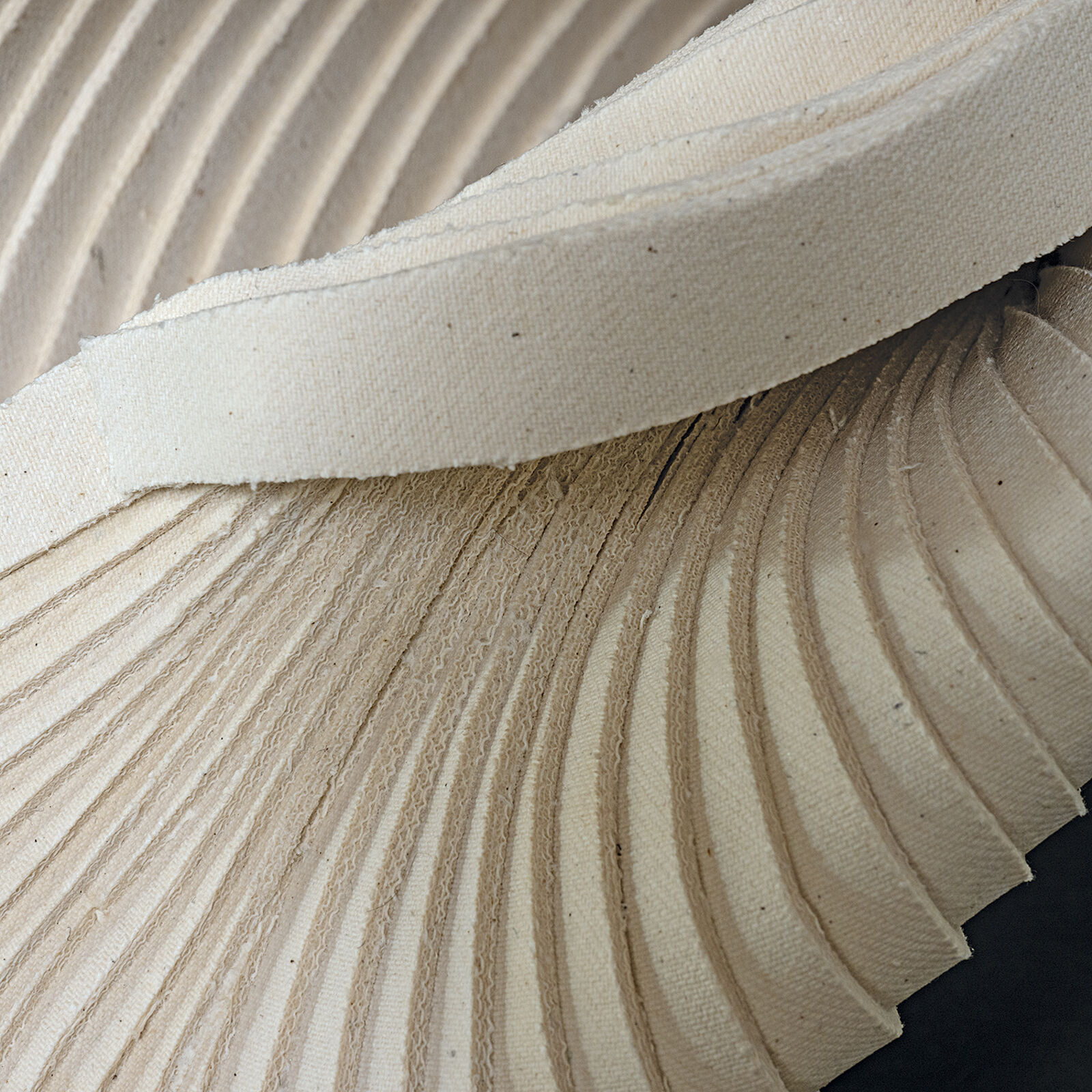 A sculptural piece resembling a folded shell or abstract flower resting on a reflective dark surface.