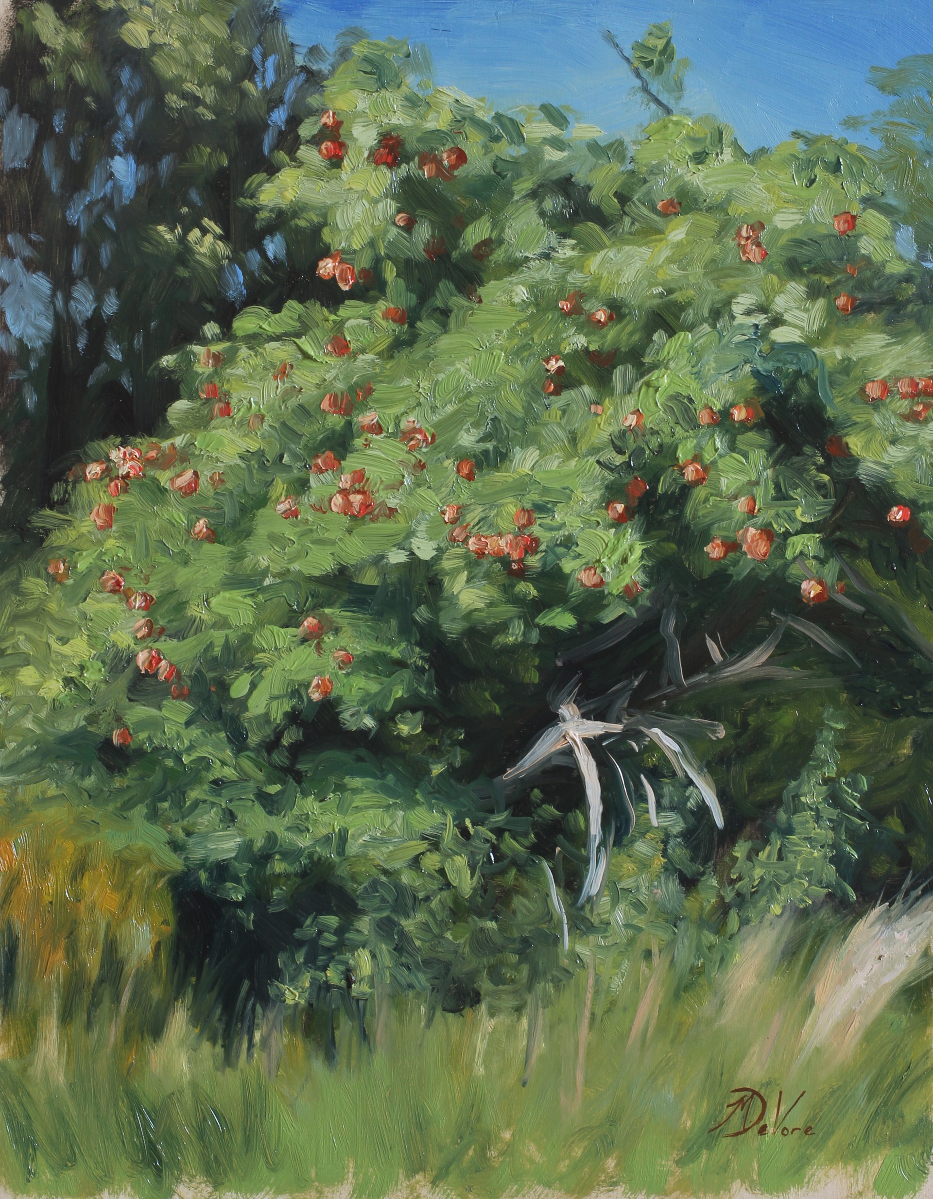 A vibrant oil painting of a lush bush laden with red berries, set against a bright blue sky.