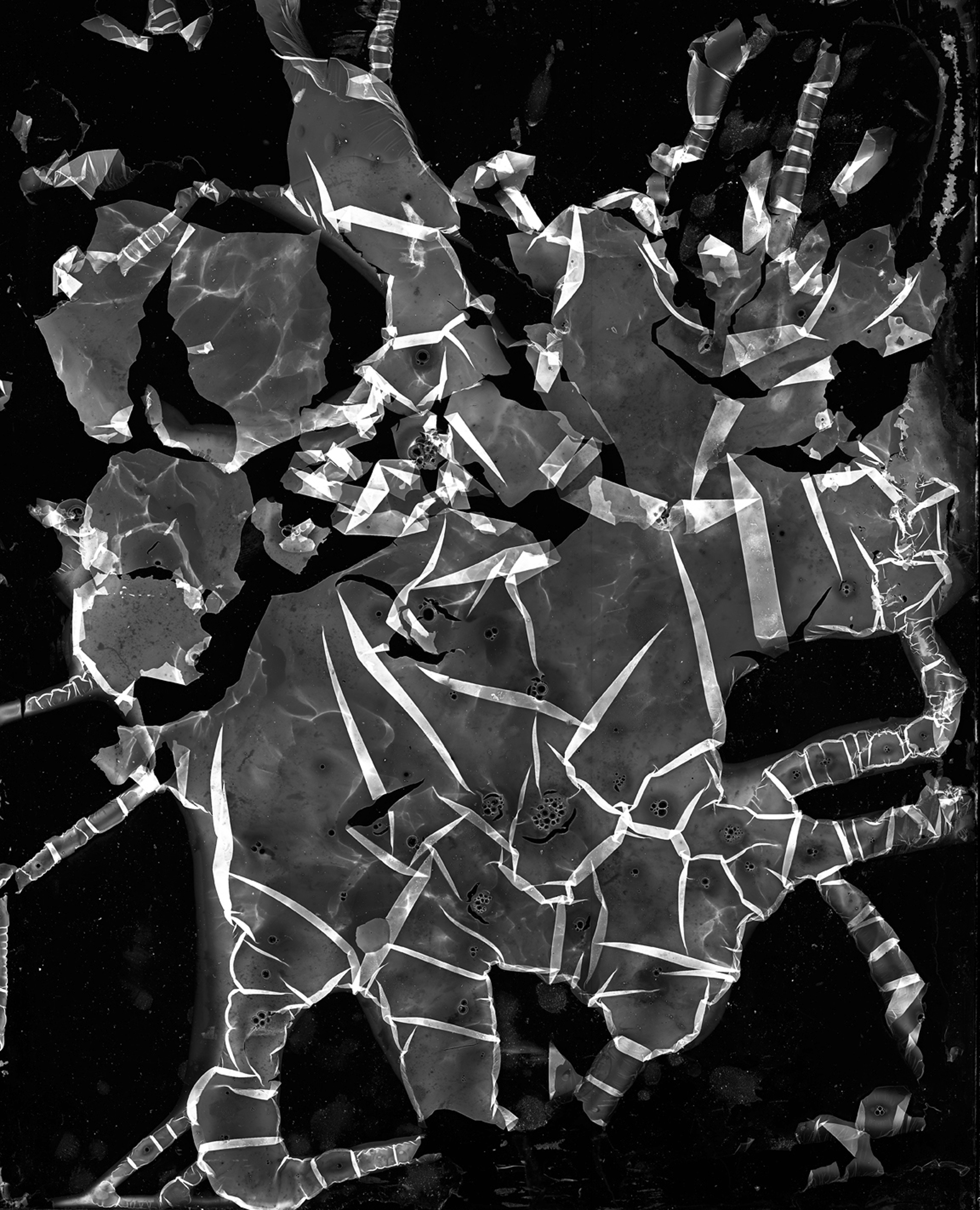 A black and white image of a broken glass window.