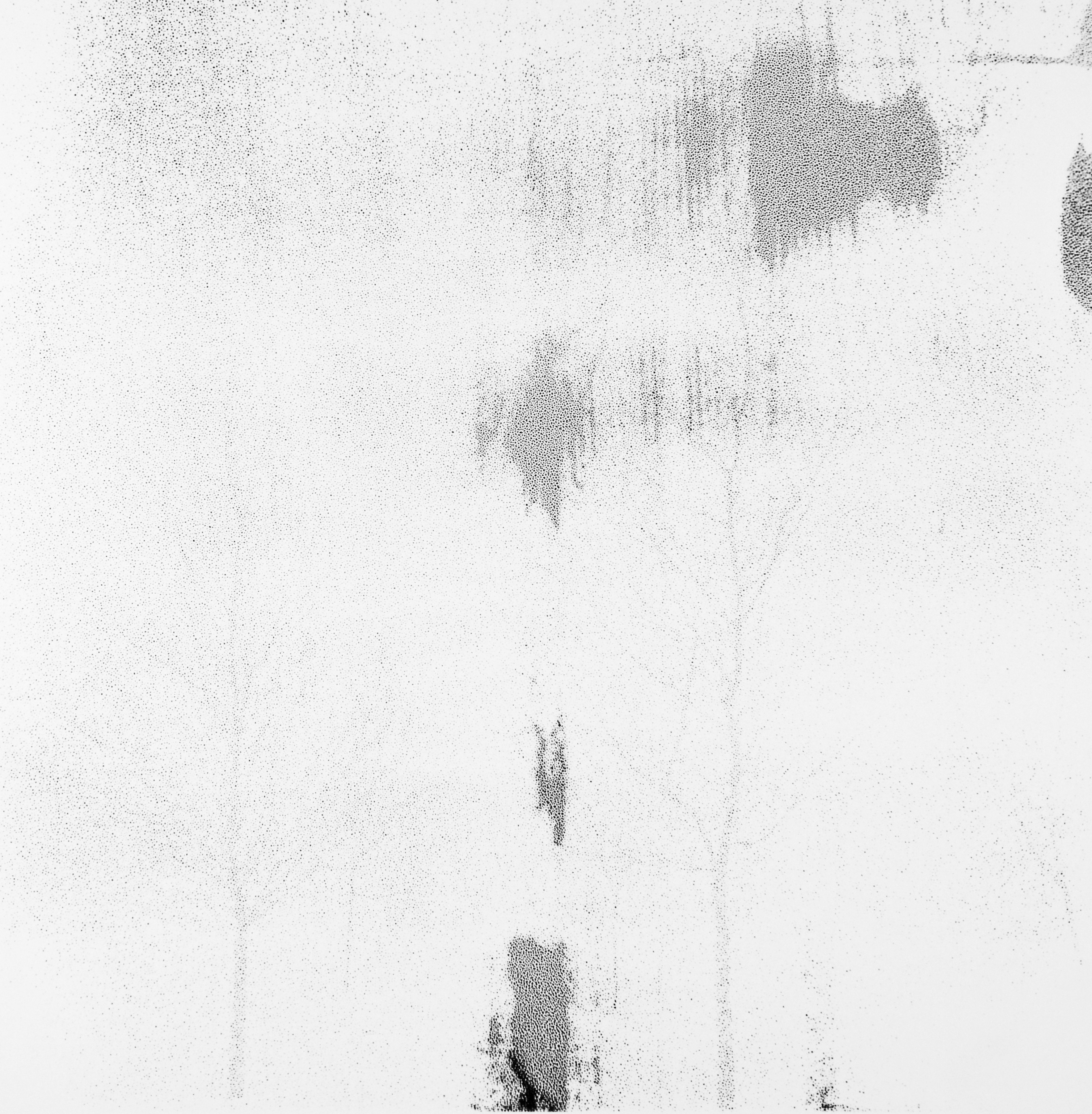 A black and white photo of a tree in the snow.