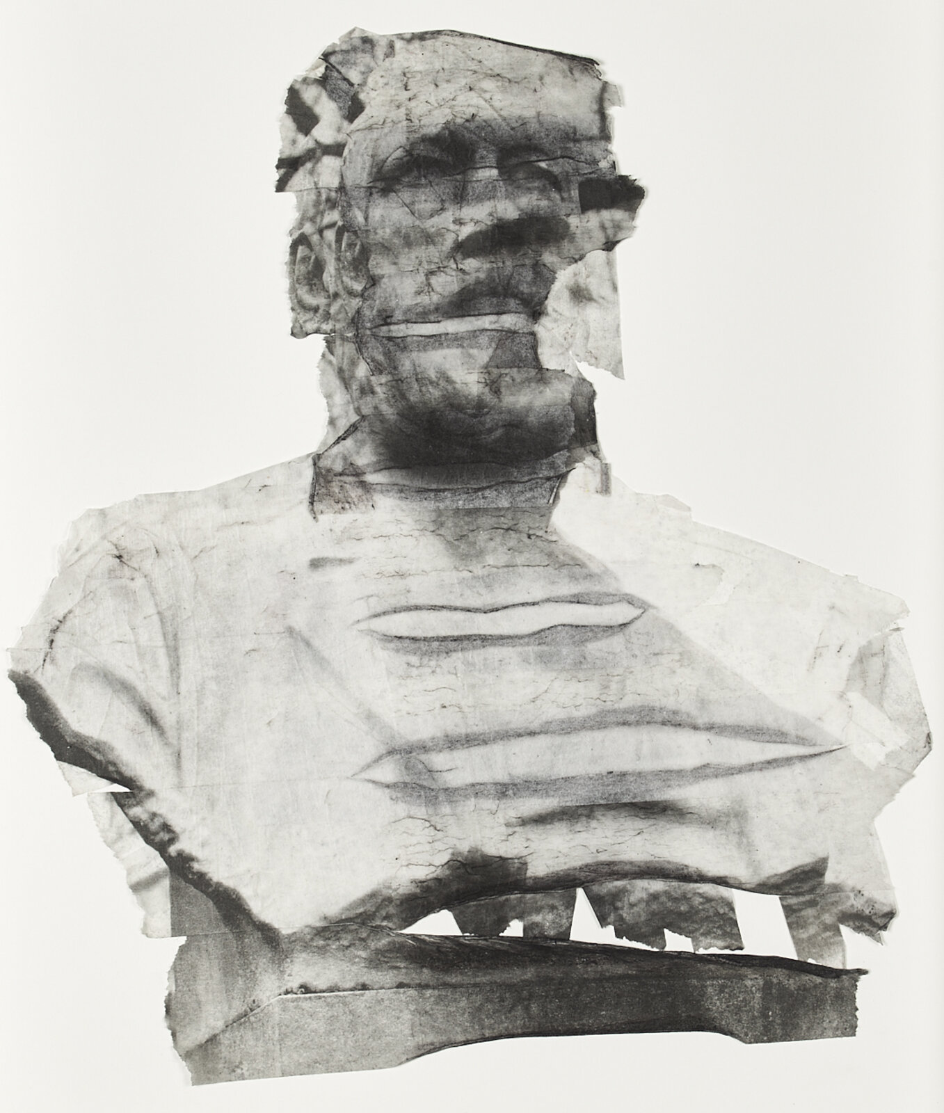 Glossopteris (or Eduard Suess) by Mikhael Subotzky, 2017
