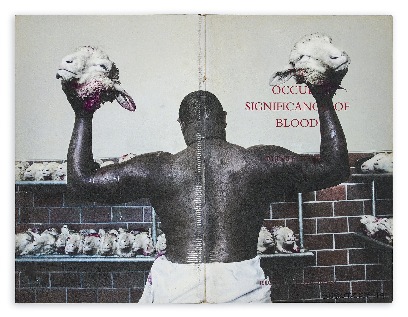 A book with a picture of a man holding two sheep in his hands.