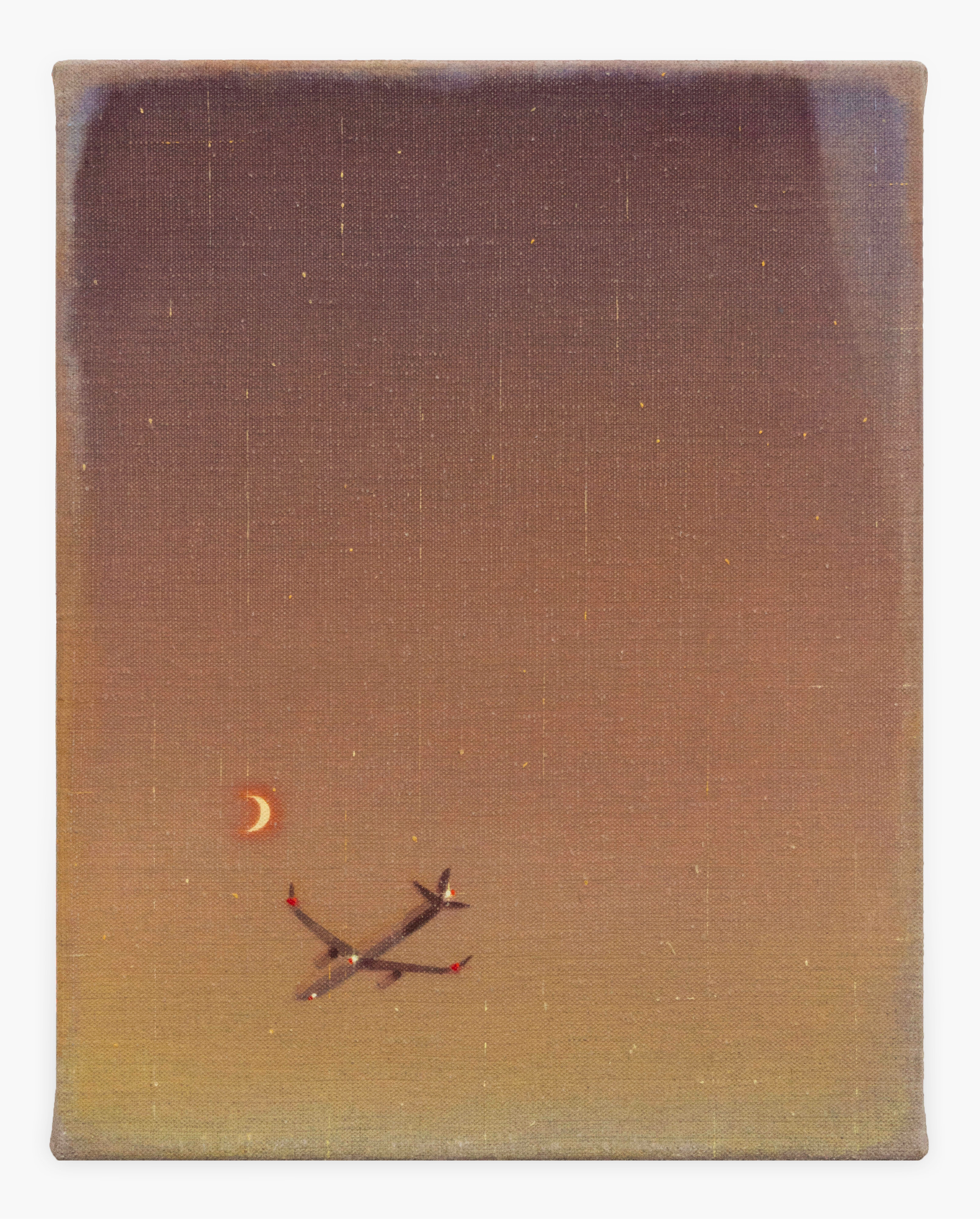 Arrival by Michelle Paterok, 2025