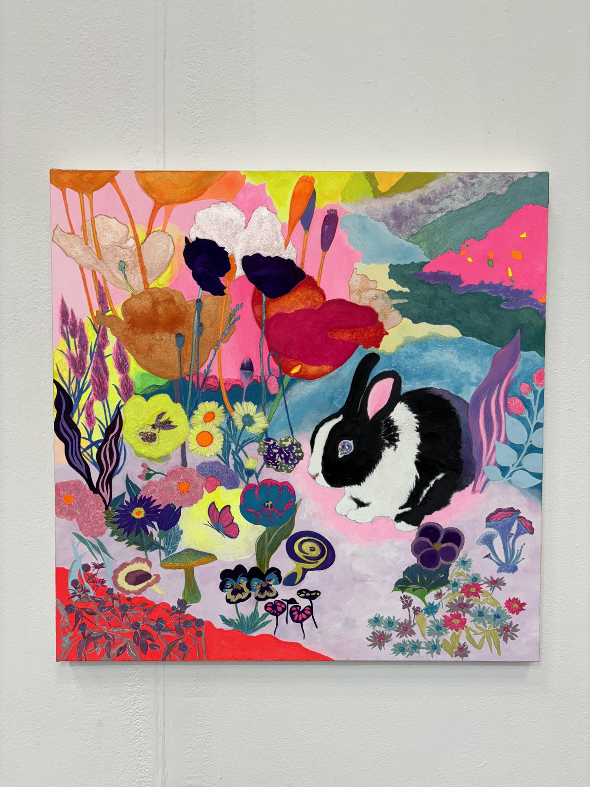 Dream World, Rabbit