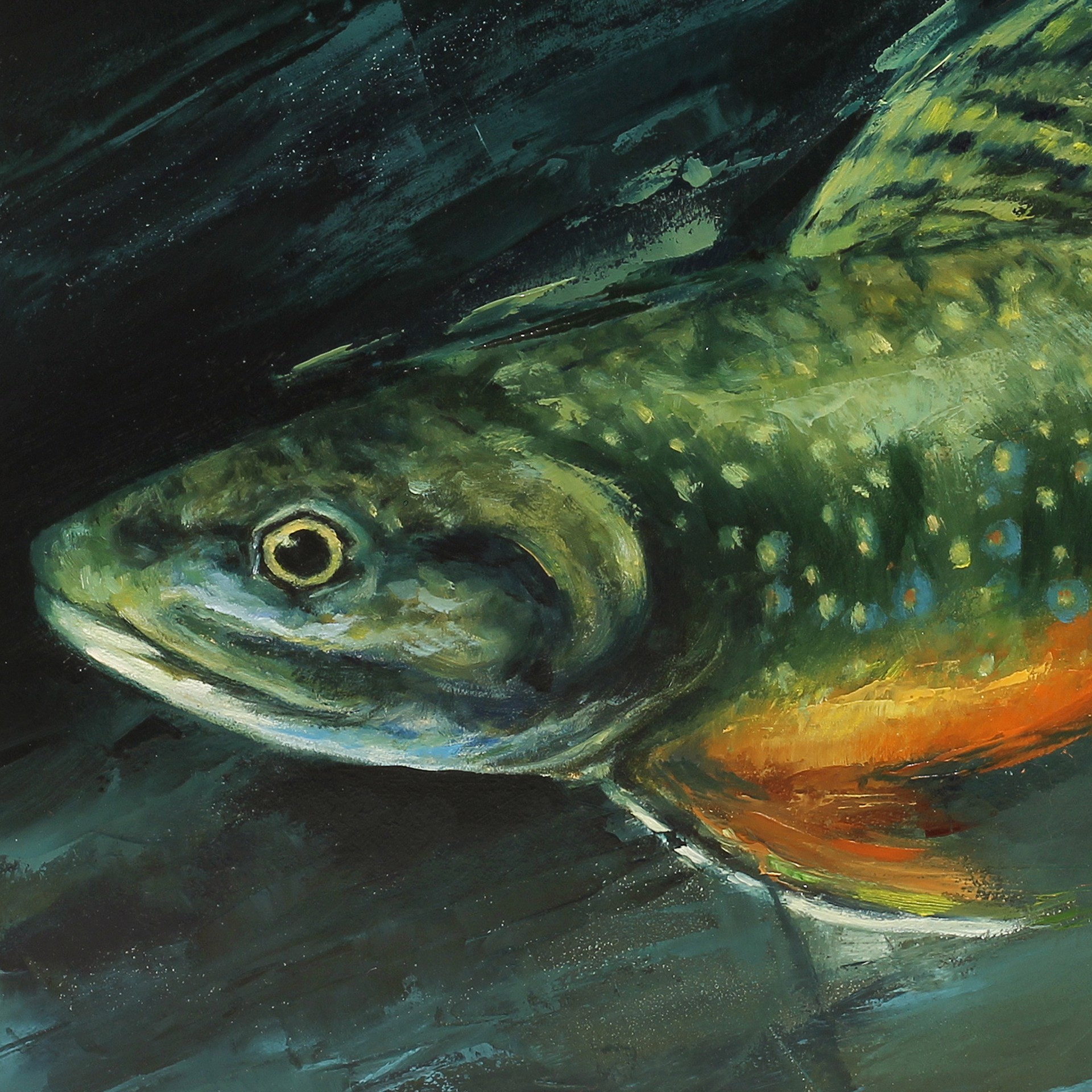A painting of a brook trout swimming in the water.