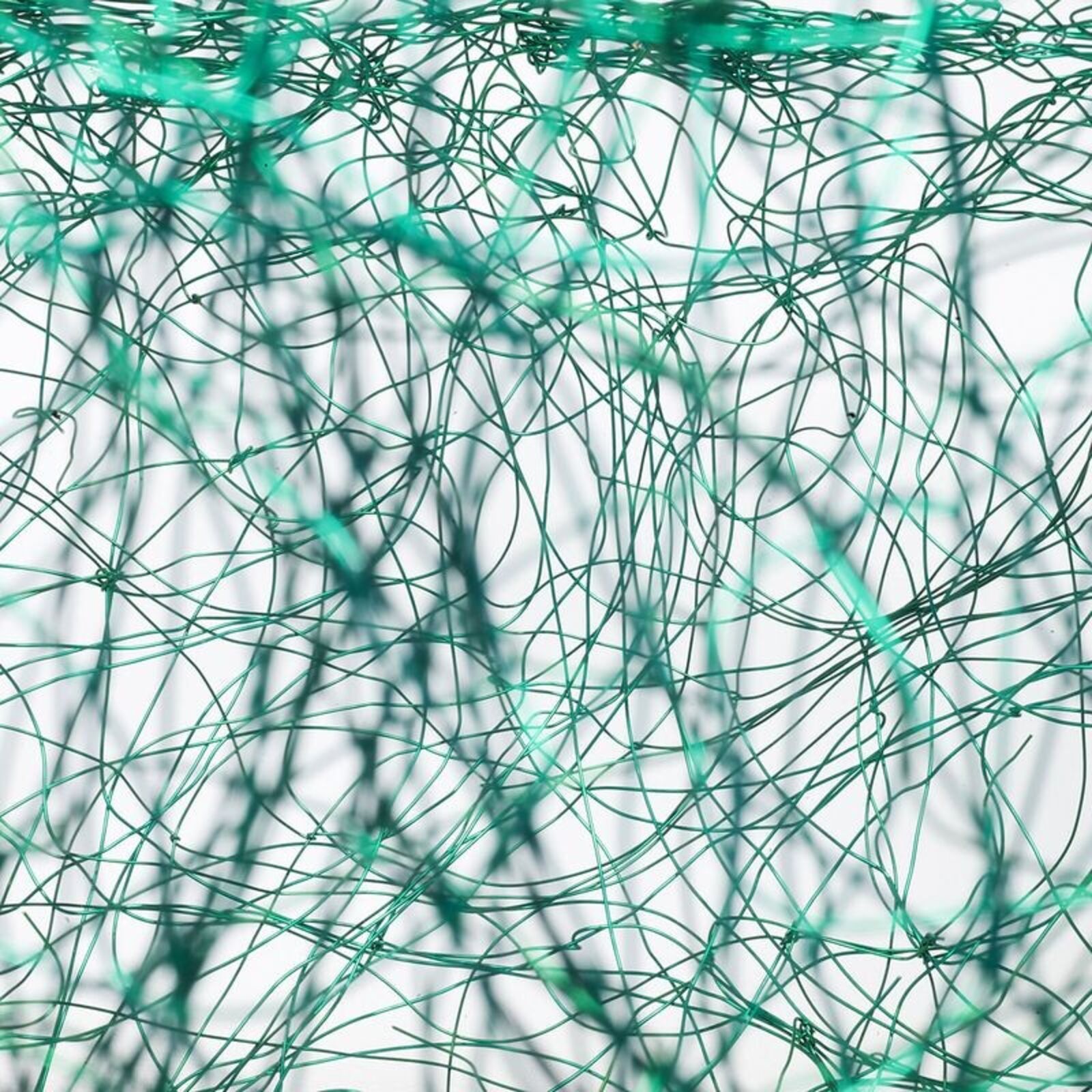 A green wire sculpture resembling a nest sits in a white display case.