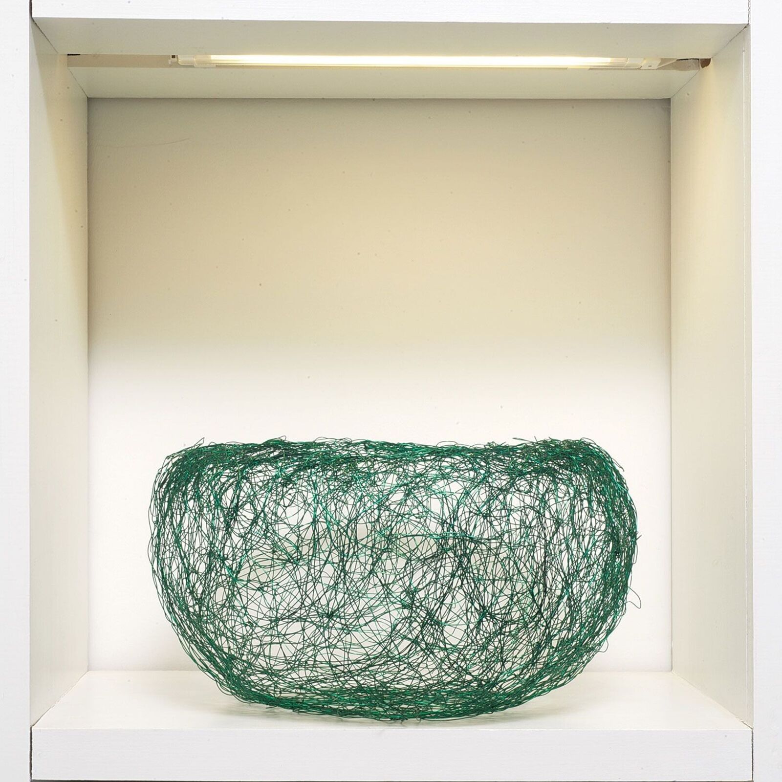 A green wire sculpture resembling a nest sits in a white display case.