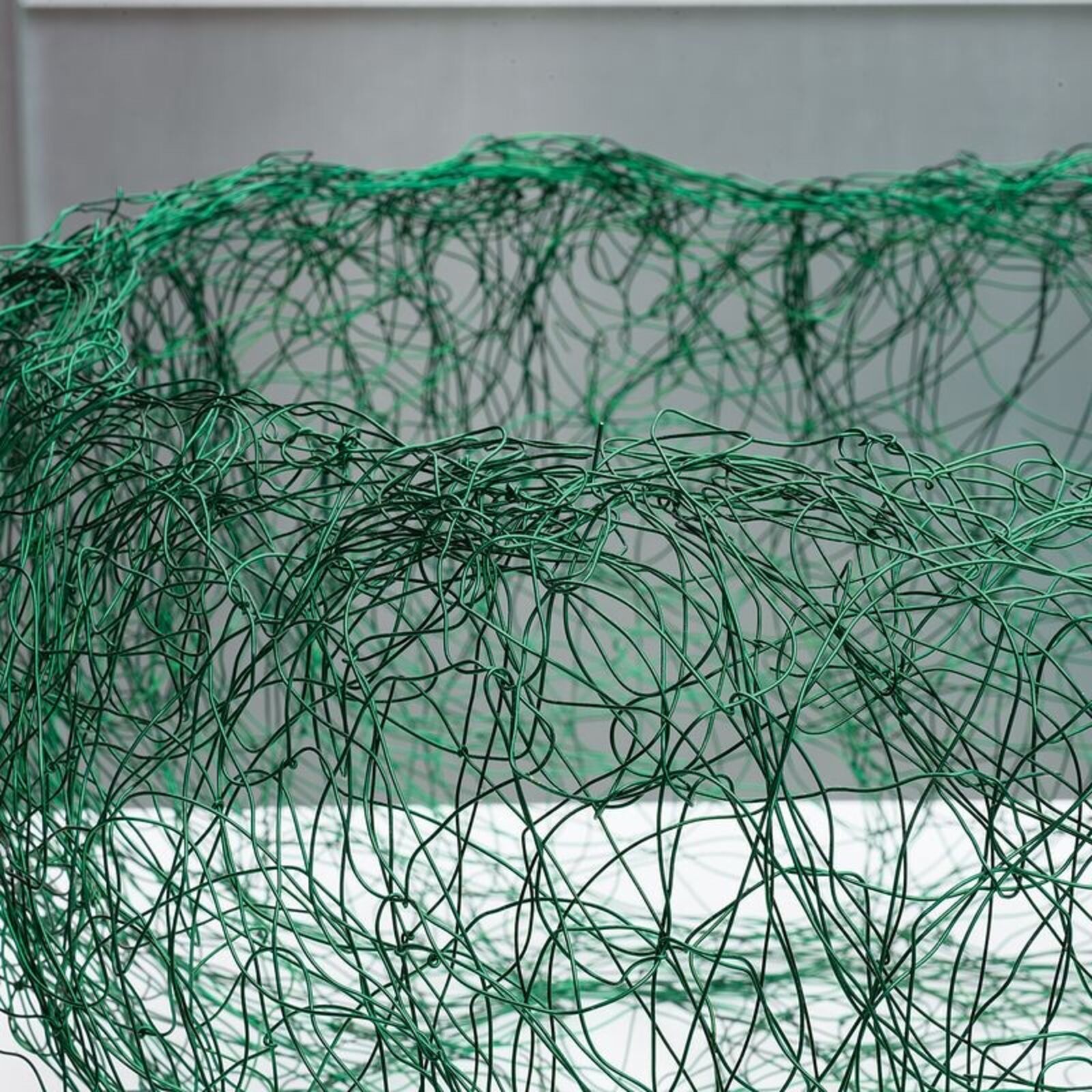 A green wire sculpture resembling a nest sits in a white display case.