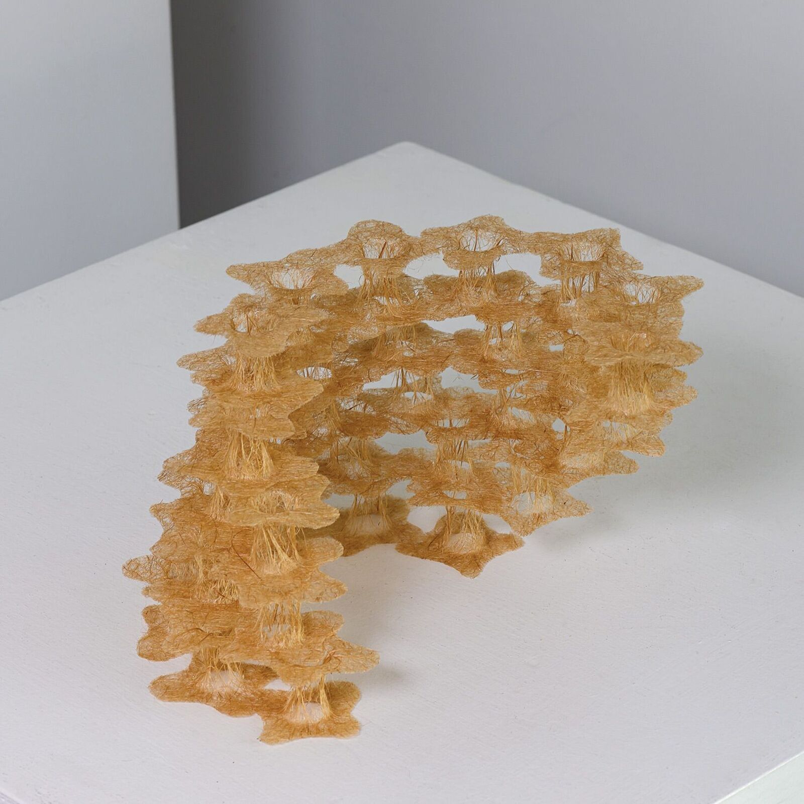 A delicate, multi-layered sculpture made of golden-brown fibers resting on a white surface.
