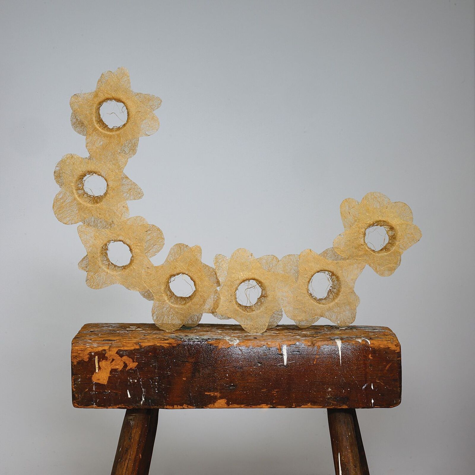 A golden, fibrous sculpture shaped like a spine rests against a dark wooden cabinet.