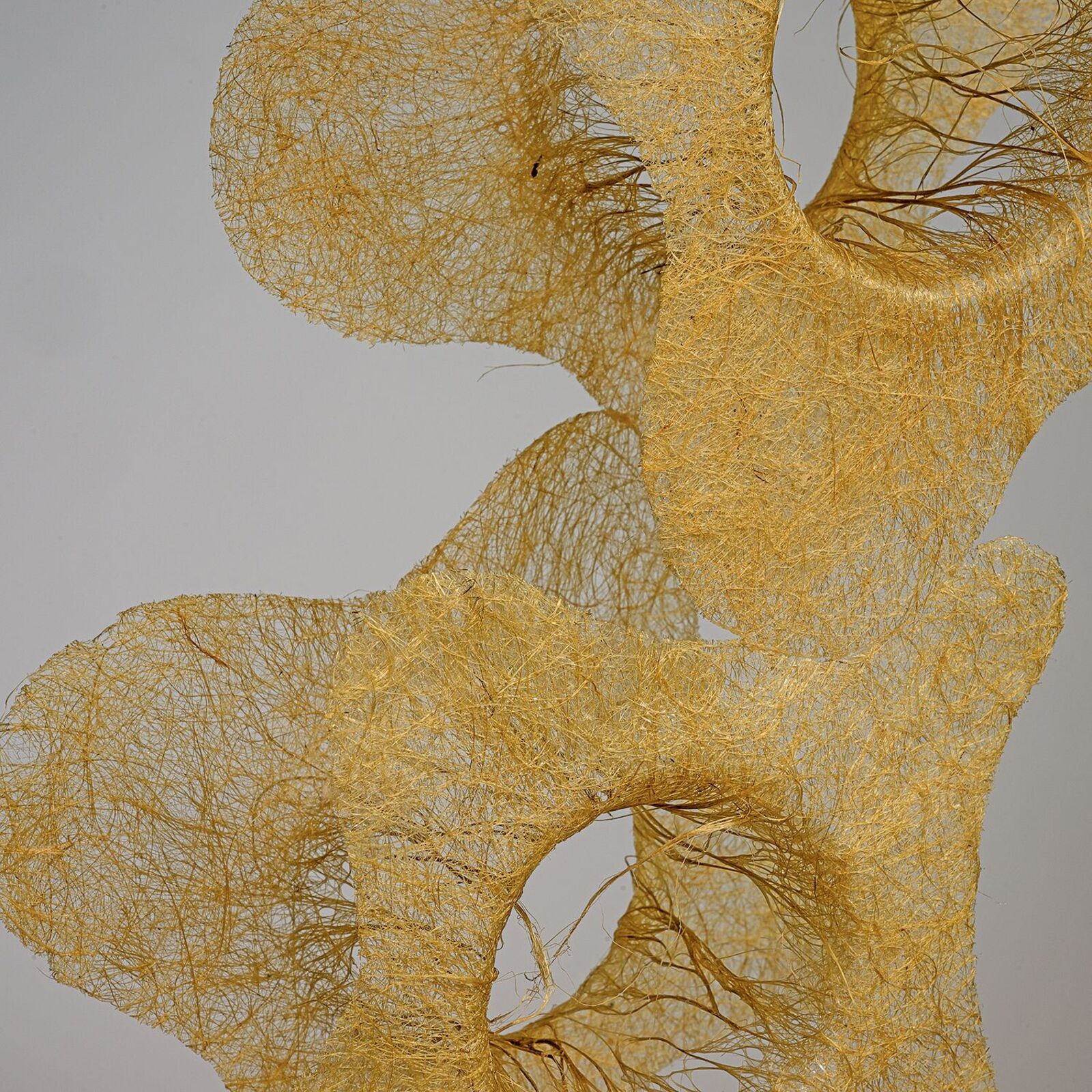 A golden, fibrous sculpture shaped like a spine rests against a dark wooden cabinet.