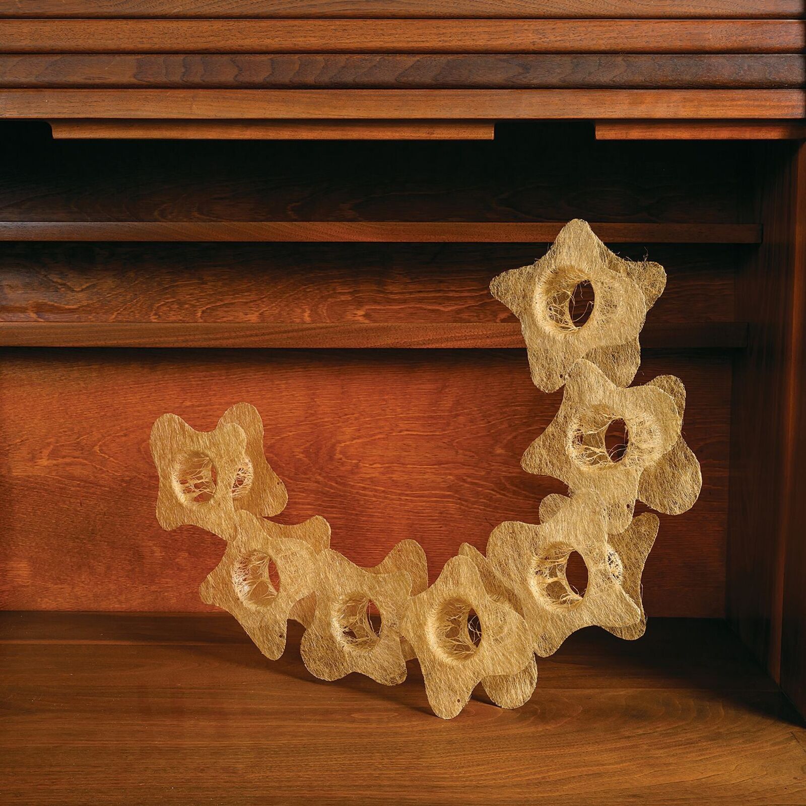 A golden, fibrous sculpture shaped like a spine rests against a dark wooden cabinet.