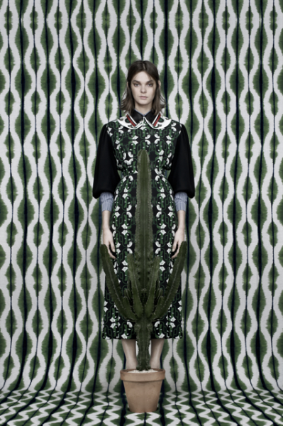 Artwork by Natalia Wiernik