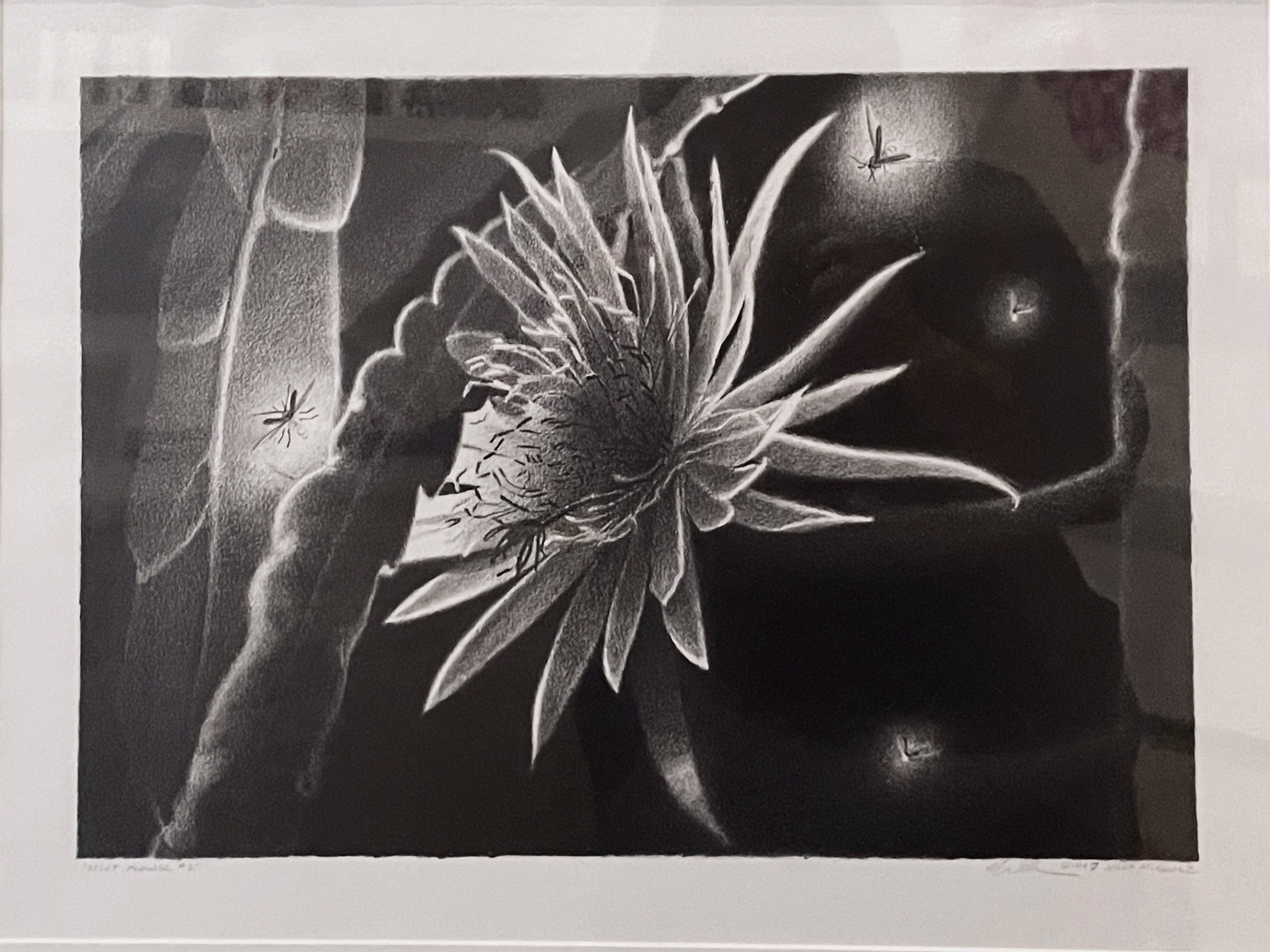 A black and white drawing of a flower in a vase.