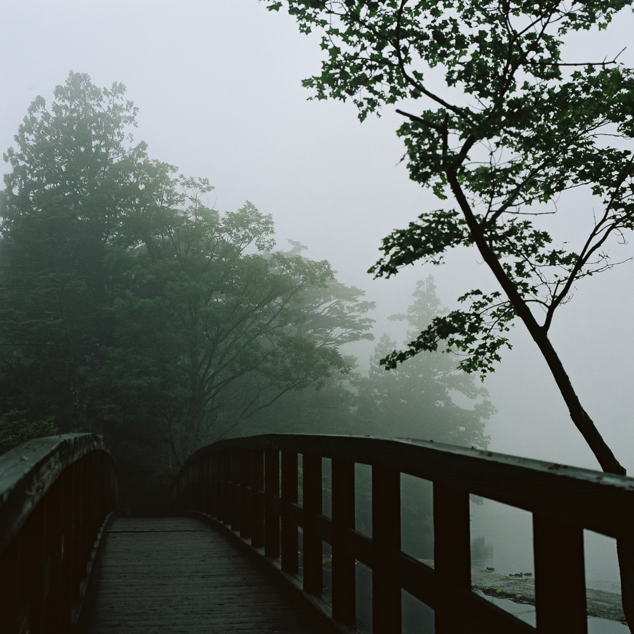 A wooden bridge over a body of water surrounded by trees.