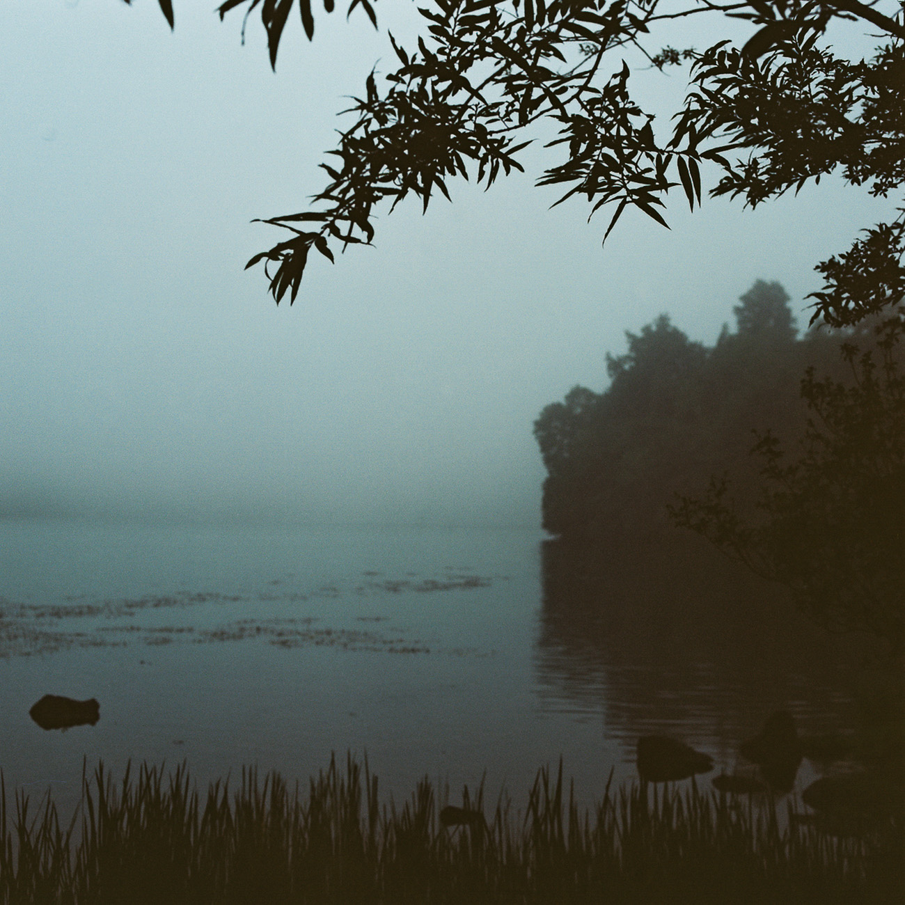 Nikko 4 by Noémie Baumann, 2022