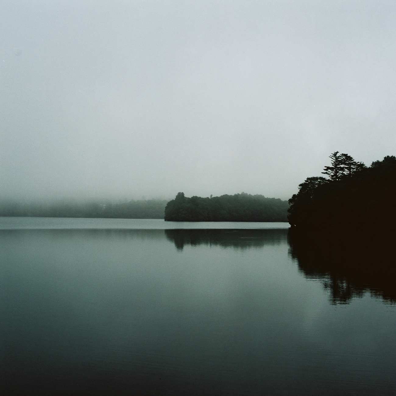 Nikko 5 by Noémie Baumann, null