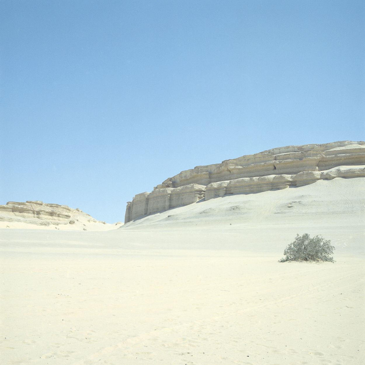 Whale Valley #2 by Noémie Baumann, 2022