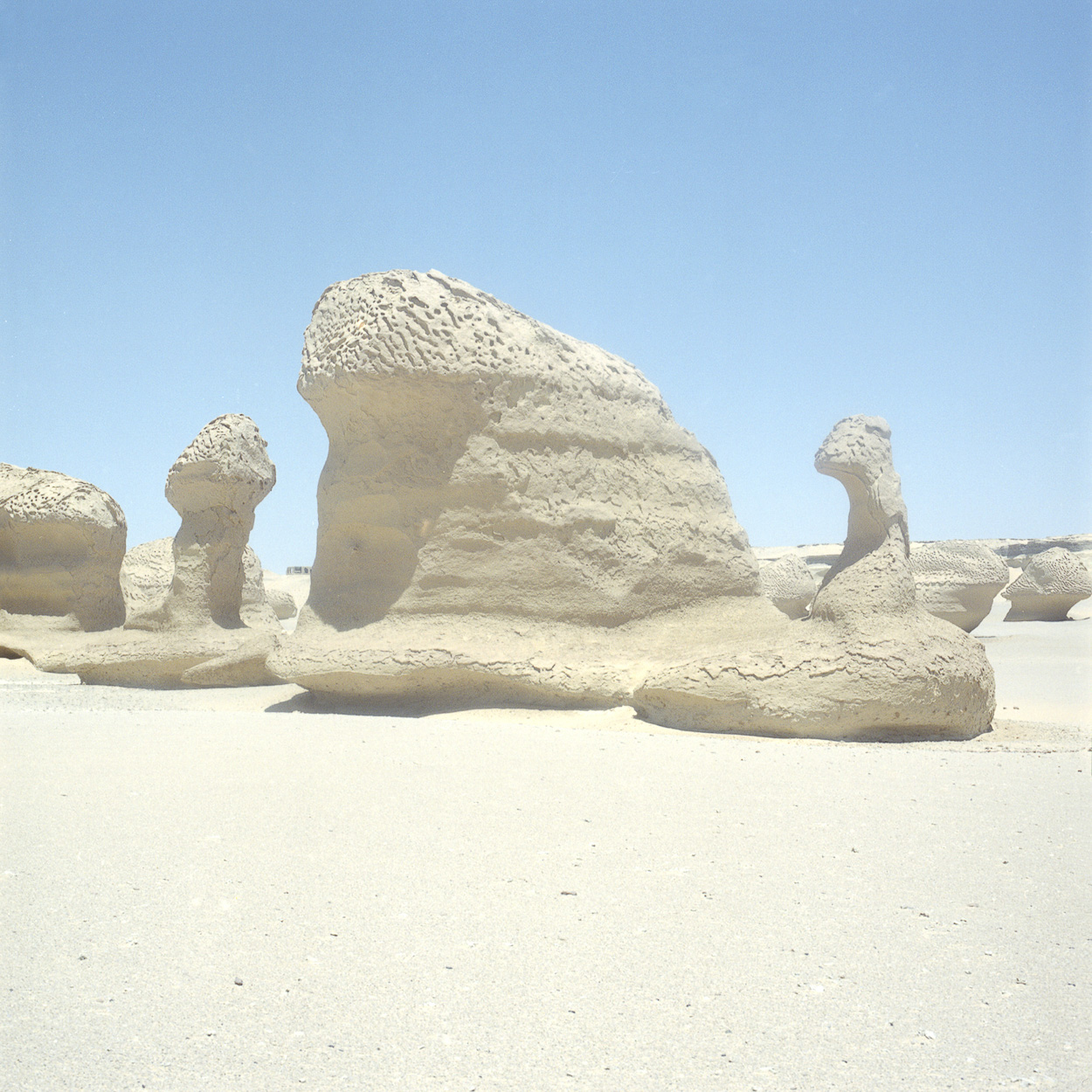 Whale Valley #6 by Noémie Baumann, 2022