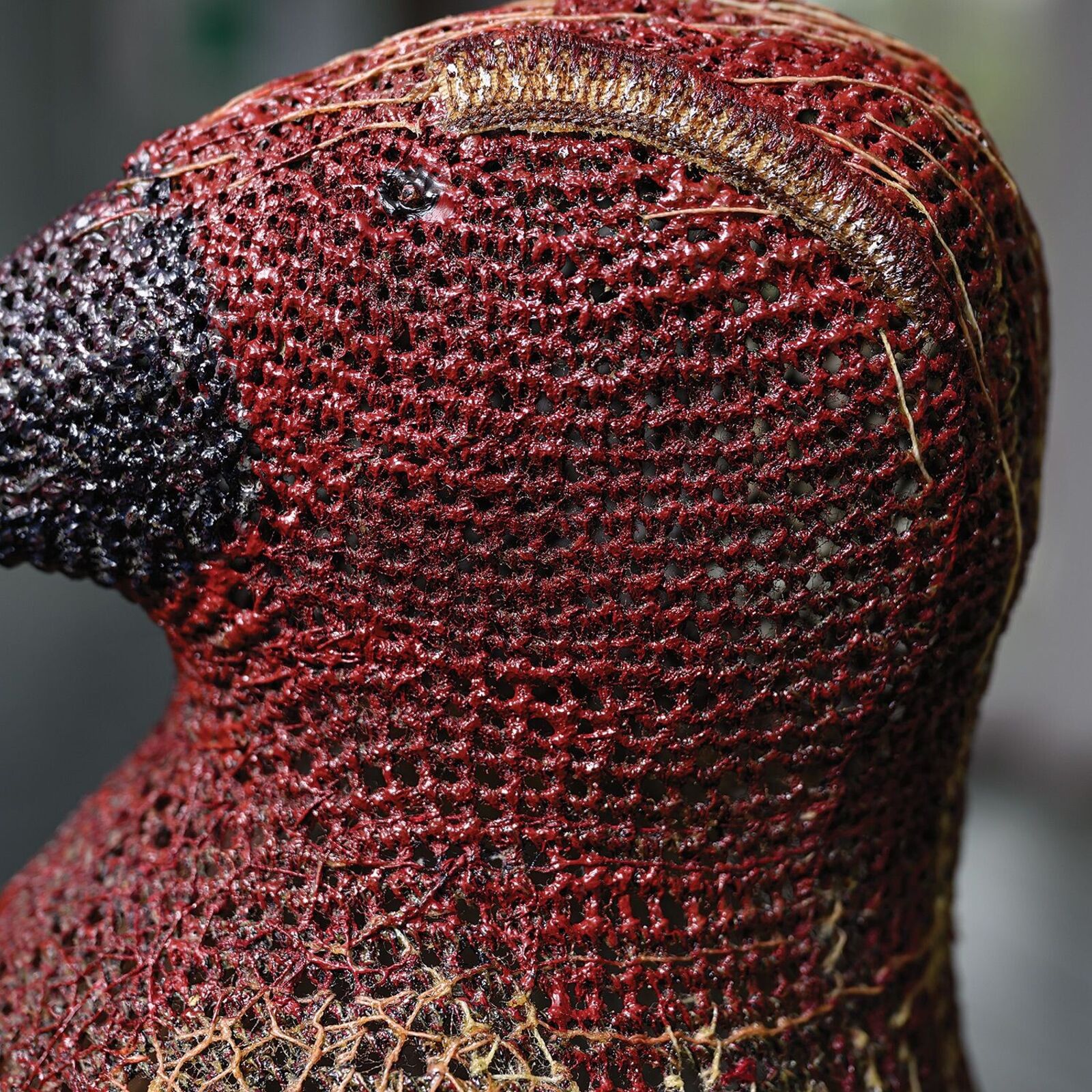 A textured, bird-shaped sculpture stands on a white surface in front of bright windows.