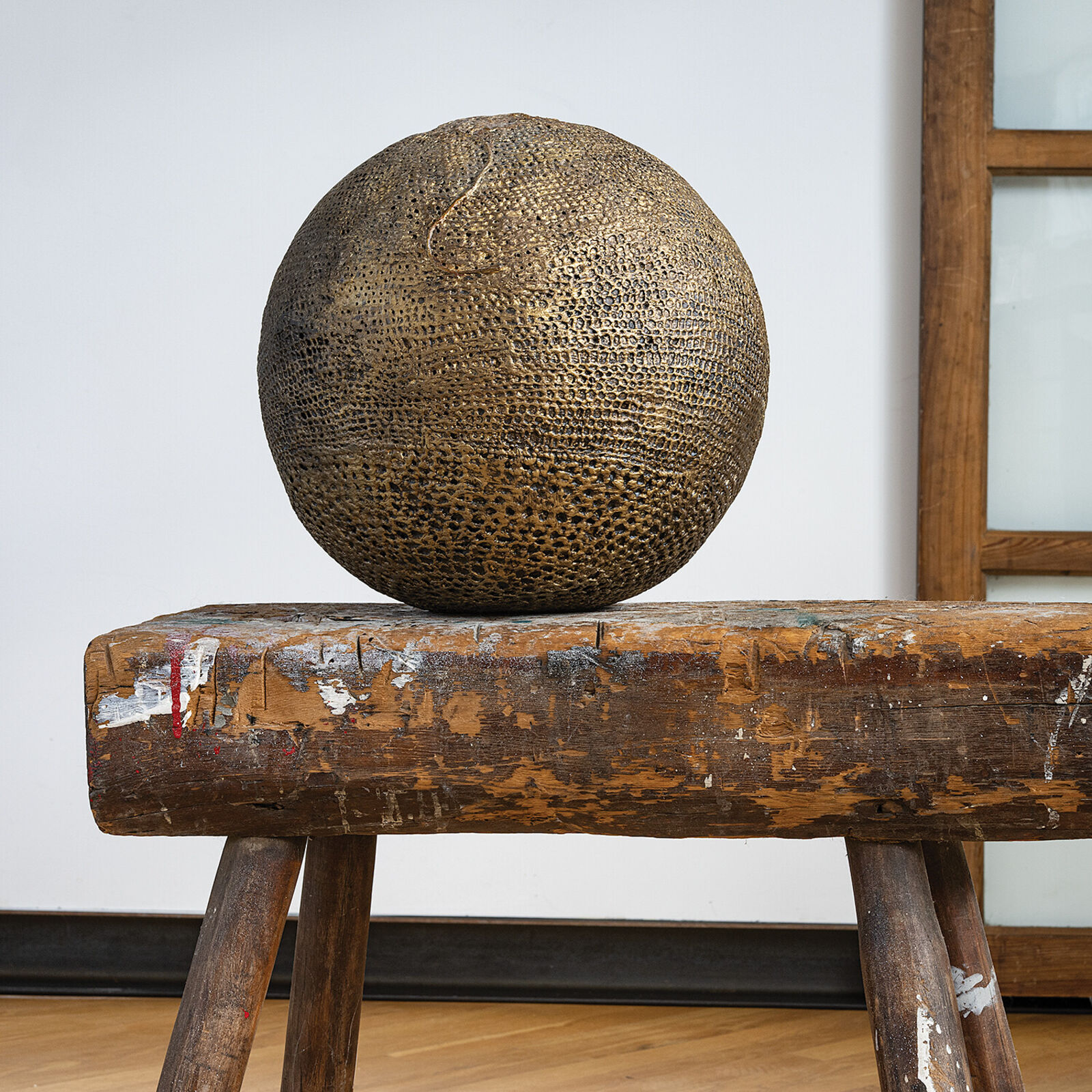 Second Skin by Norma Minkowitz, 2010