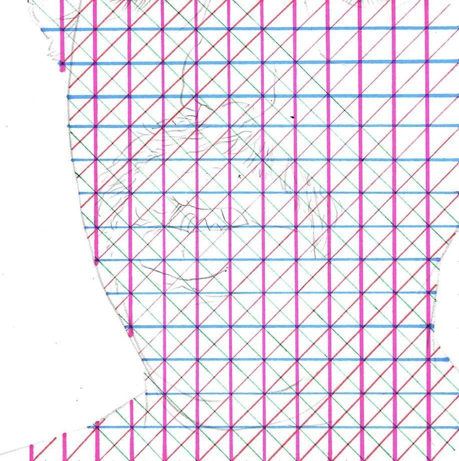 A geometric grid pattern overlaid on a faint sketch of a human profile.